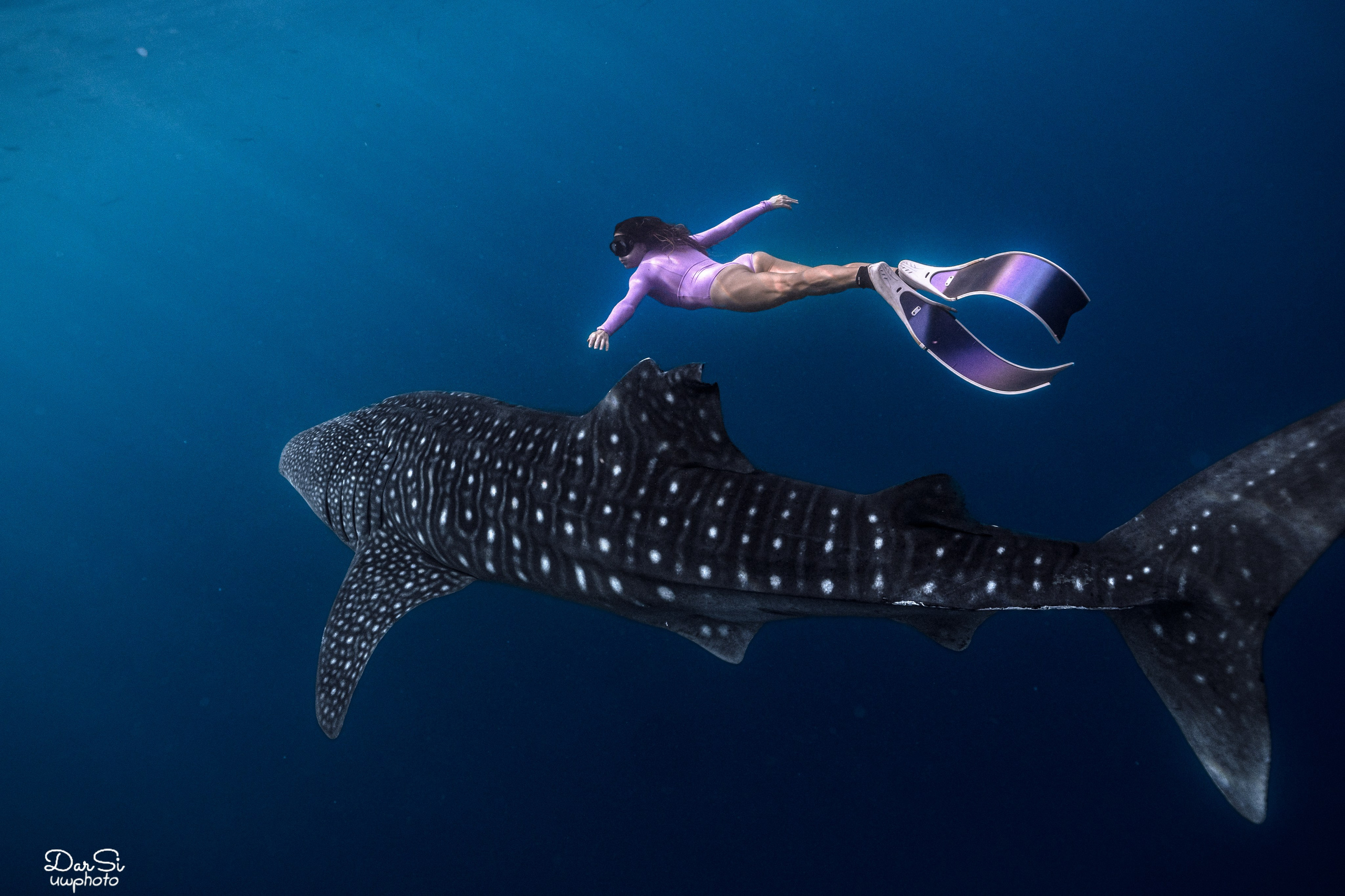 Фотосессия с китовыми акулами. Underwater Photographer in the Philippines — Daria Sinitsina