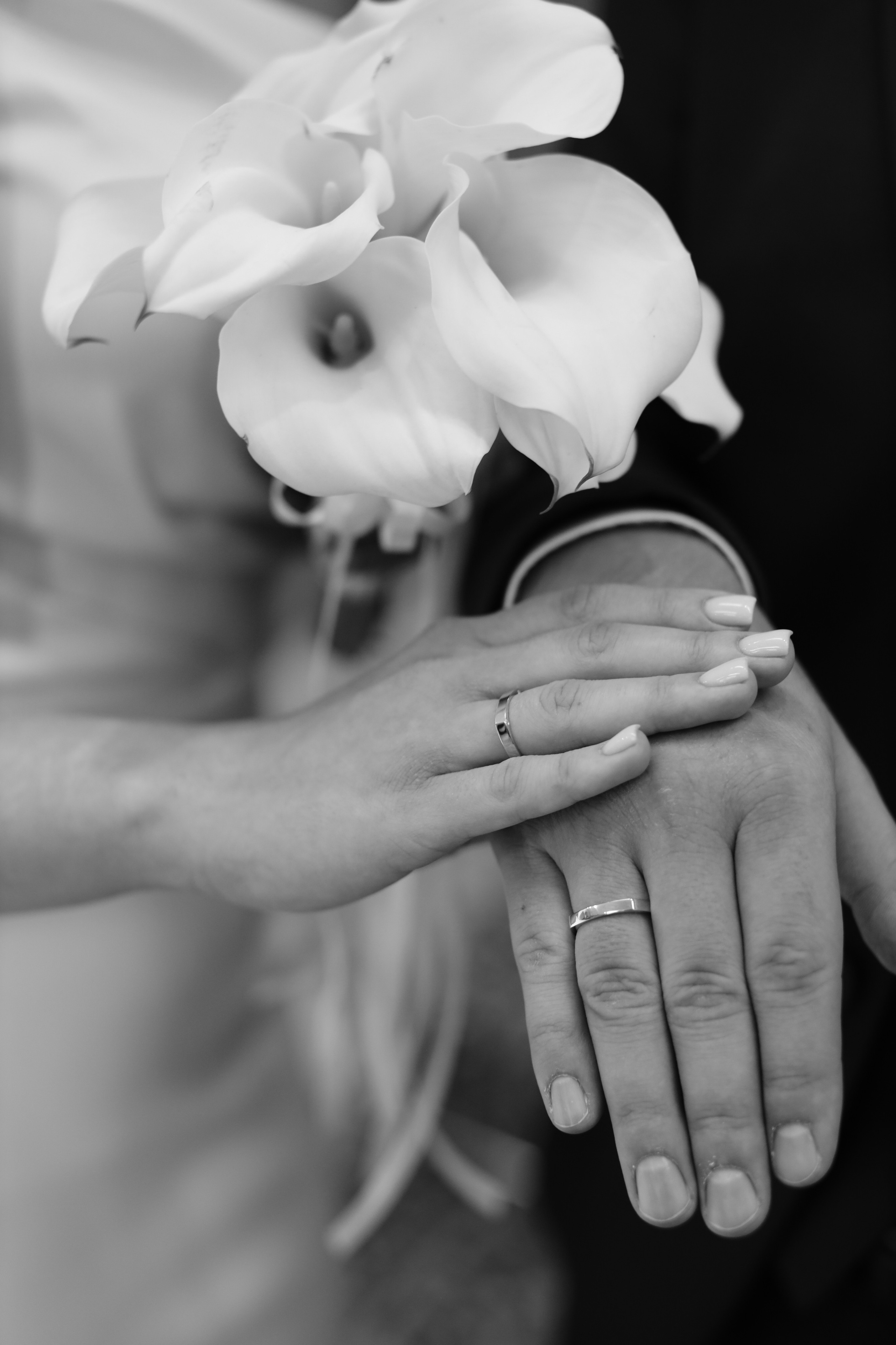 Отзывы. BADAMSHINAPHOTO.RU