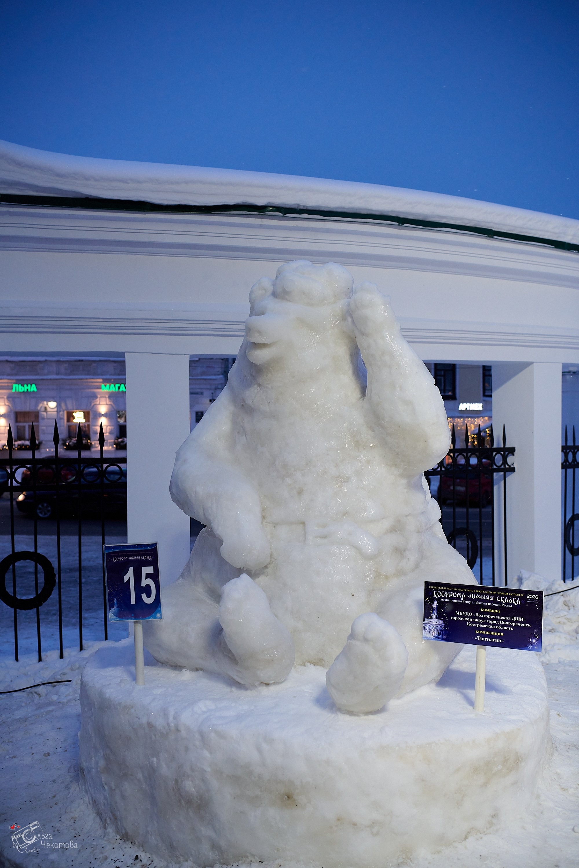 Кострома — зимняя сказка. Ольга Чёкотова (Фотограф Кострома)