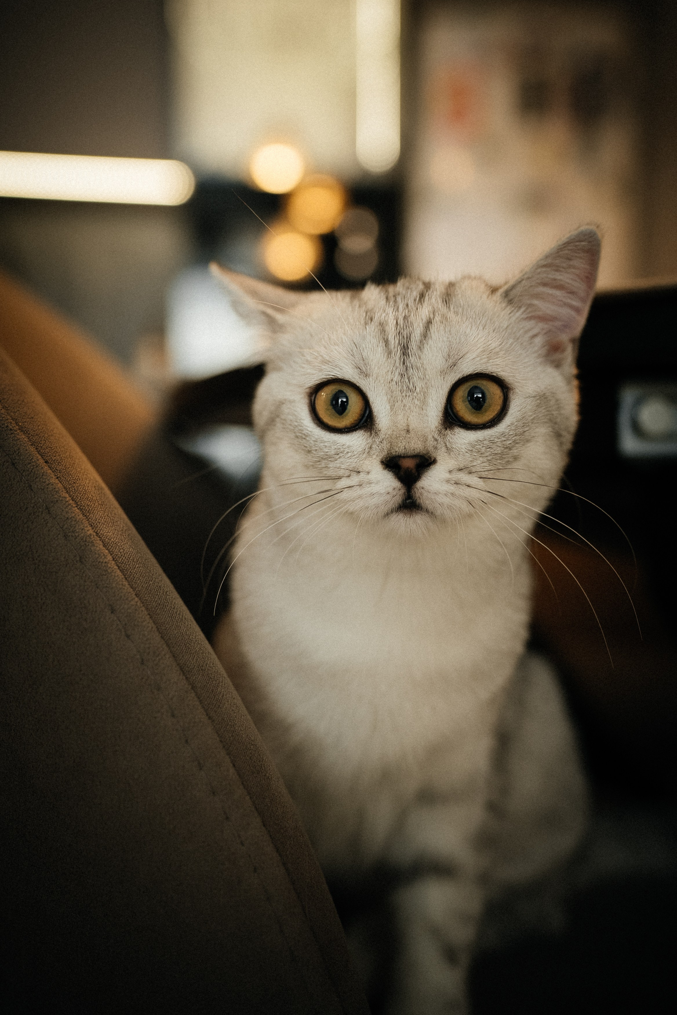 Семья Ксении и Максима. Фотограф | Юлия Арт| Обучение