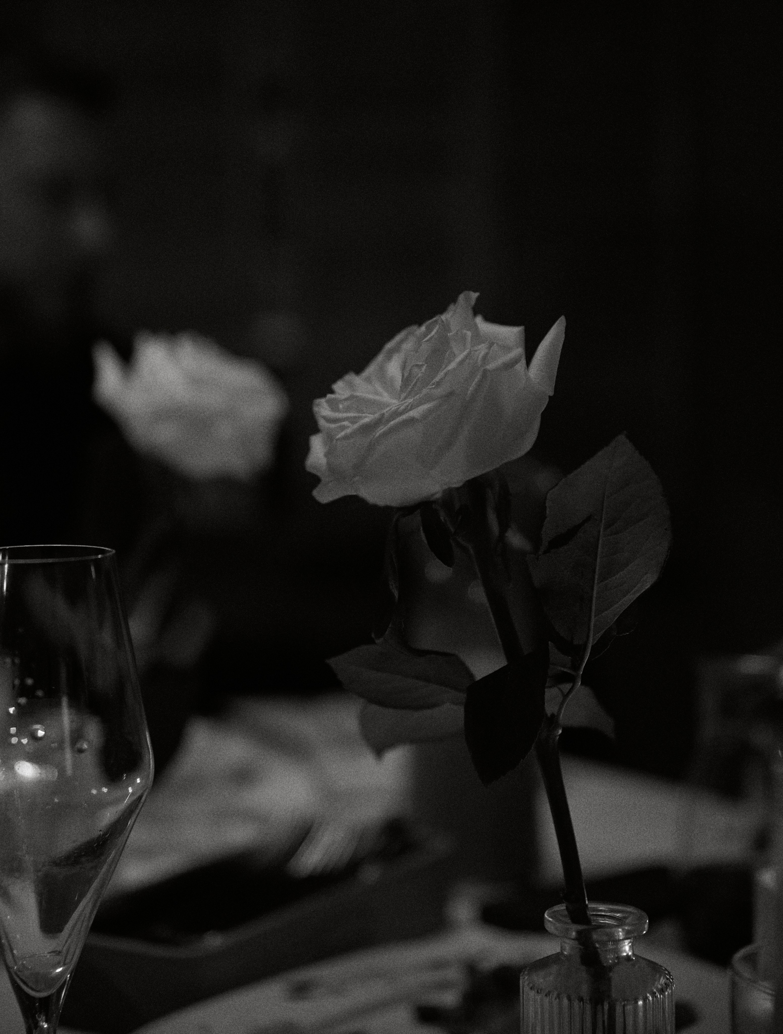 КЛАССИКА ЛЮБВИ. Свадебный фотограф Анна Чащухина