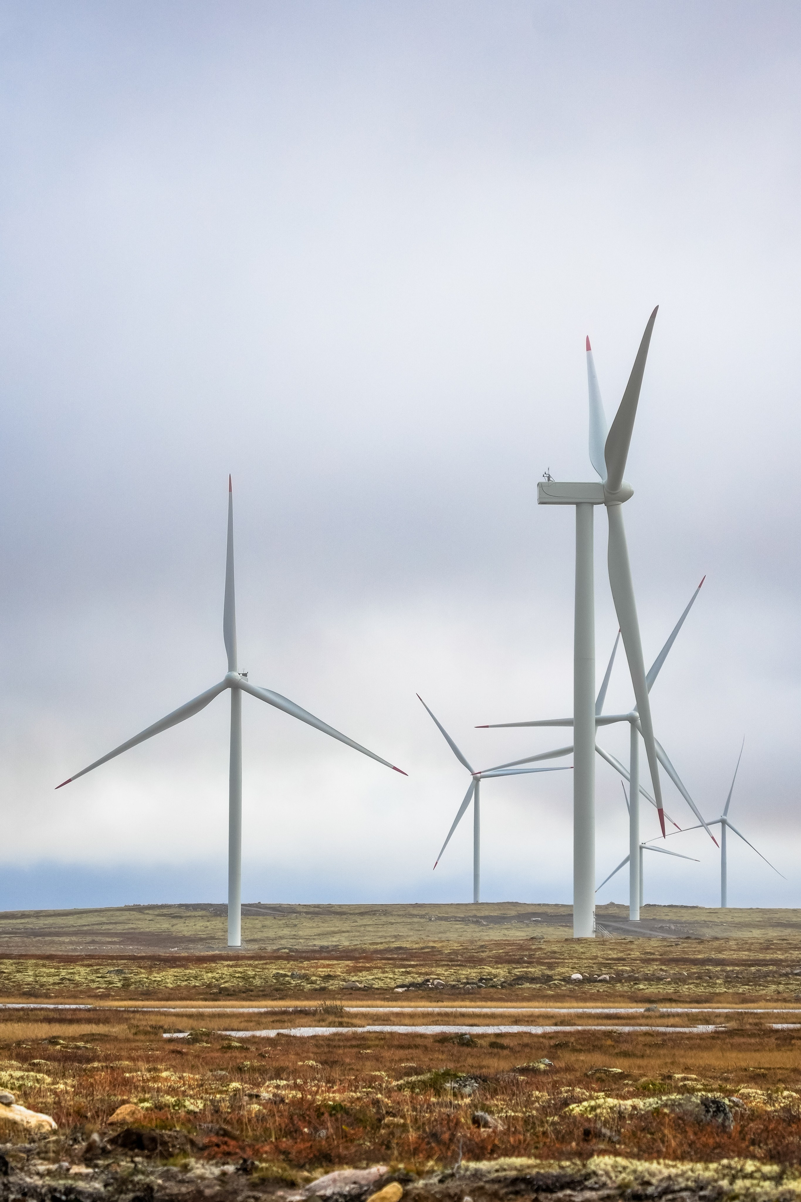 СЕВЕР. Event фотограф Степанова Александра