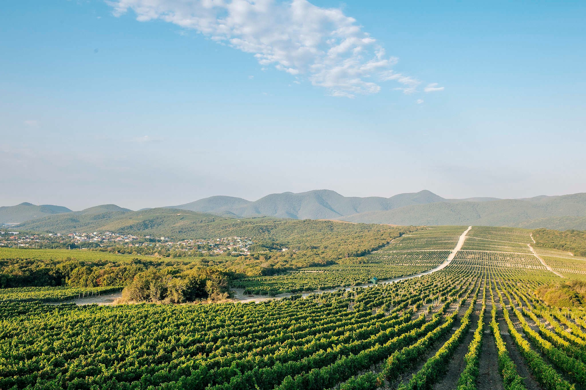 Фотограф Михаил Мордасов. 18 лет работы профессиональным фотографом. Репортажный фотограф в Сочи — Михаил Мордасов