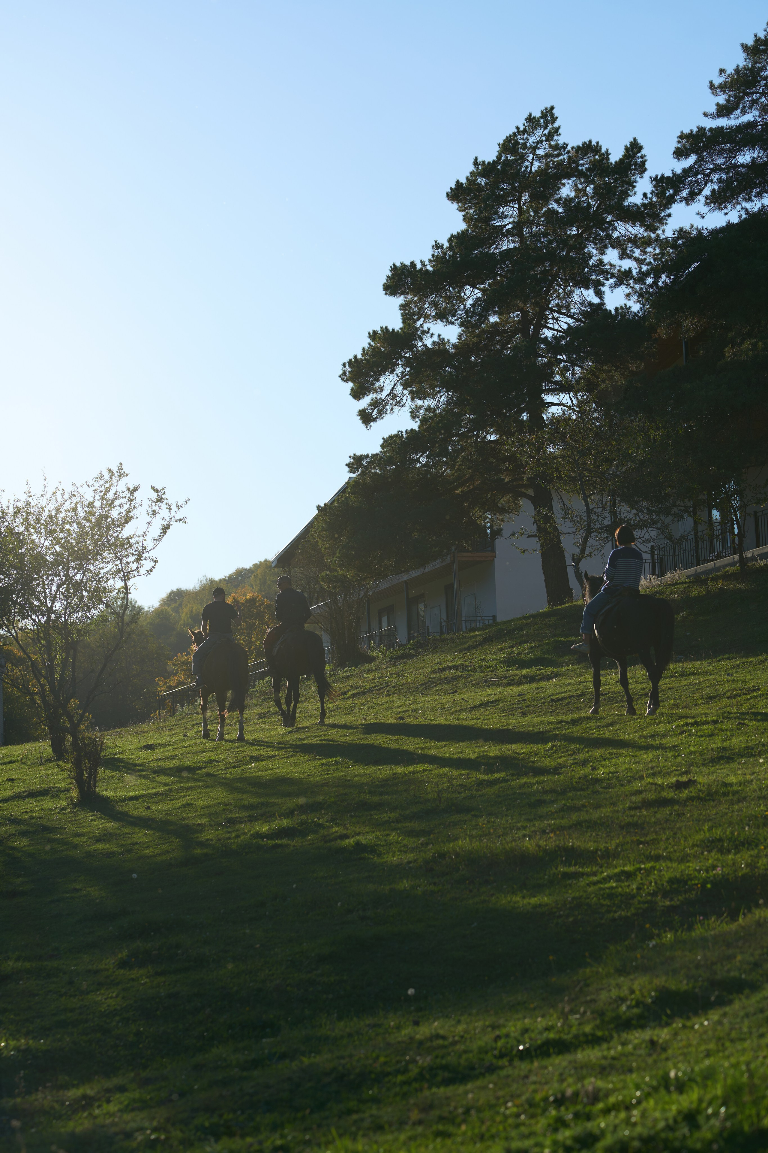 Коммерческая фотосъемка для гостиницы AYDIN EL. Фотограф, видеограф Пятигорск, Ставрополь, Ессентуки, Petlyakovs_photo