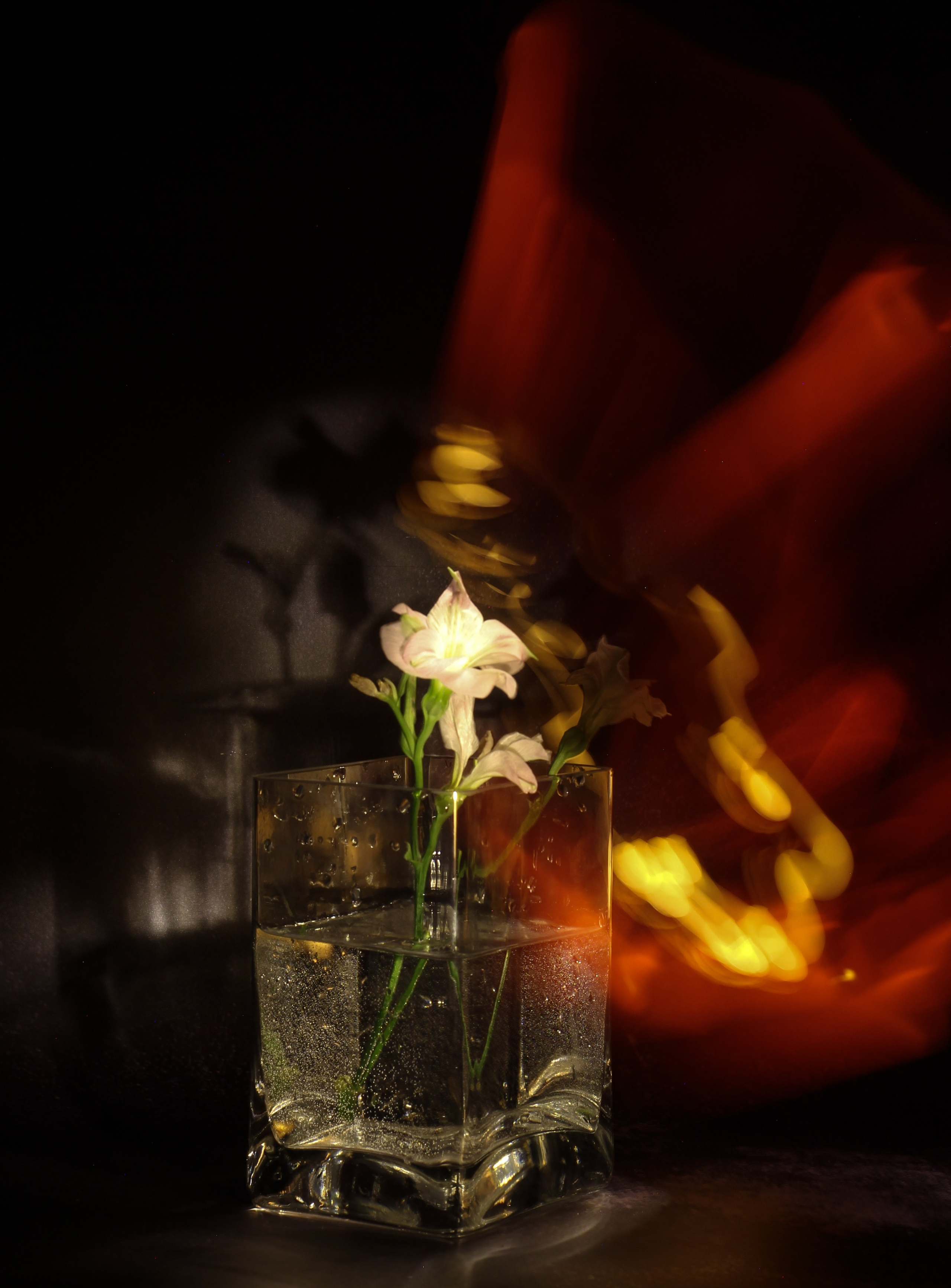 Пазлы. Фотохудожник Татьяна Бойцова