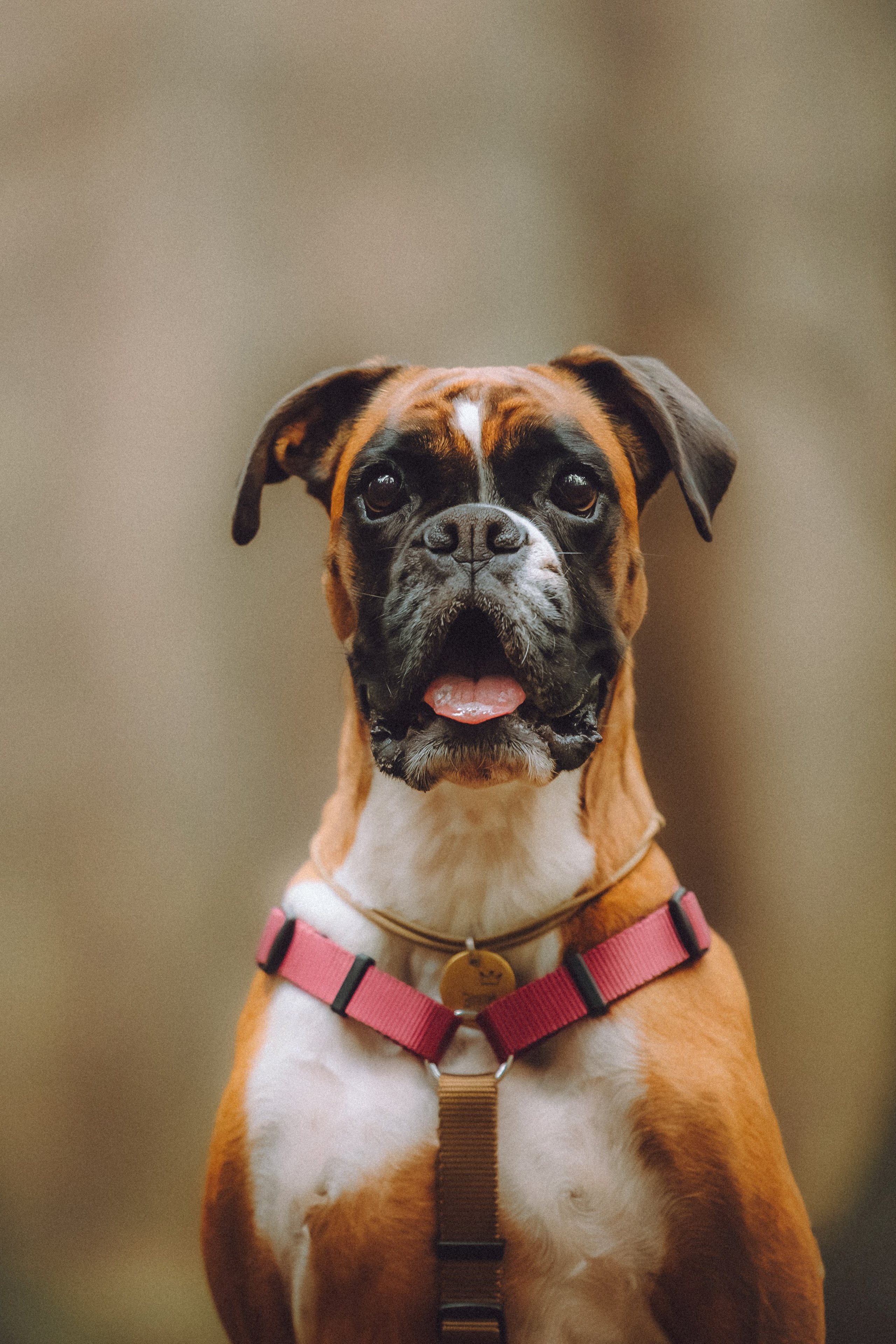 Элли и ее семья