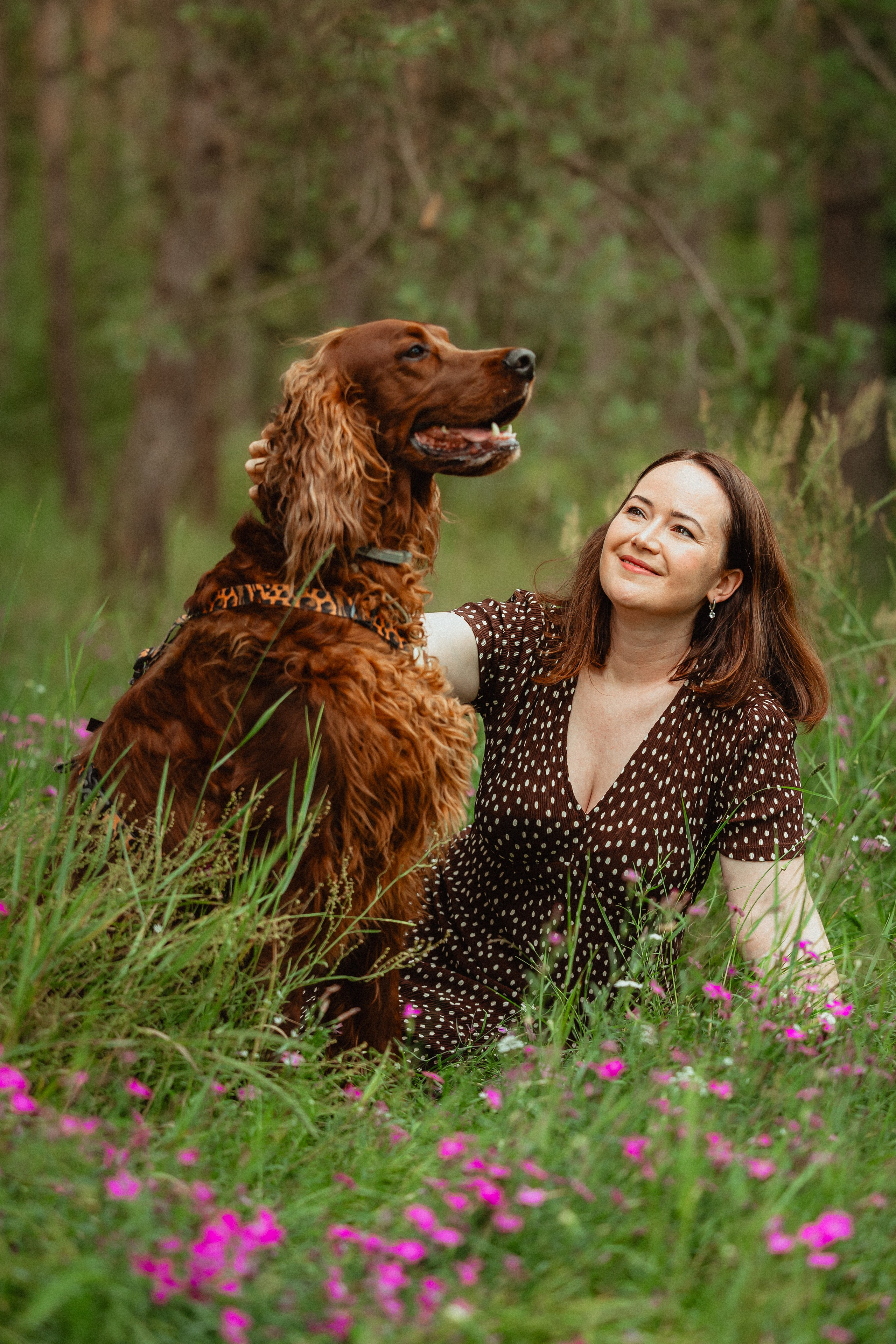 Выездной дог-тренинг от школы «Шерсть имею»