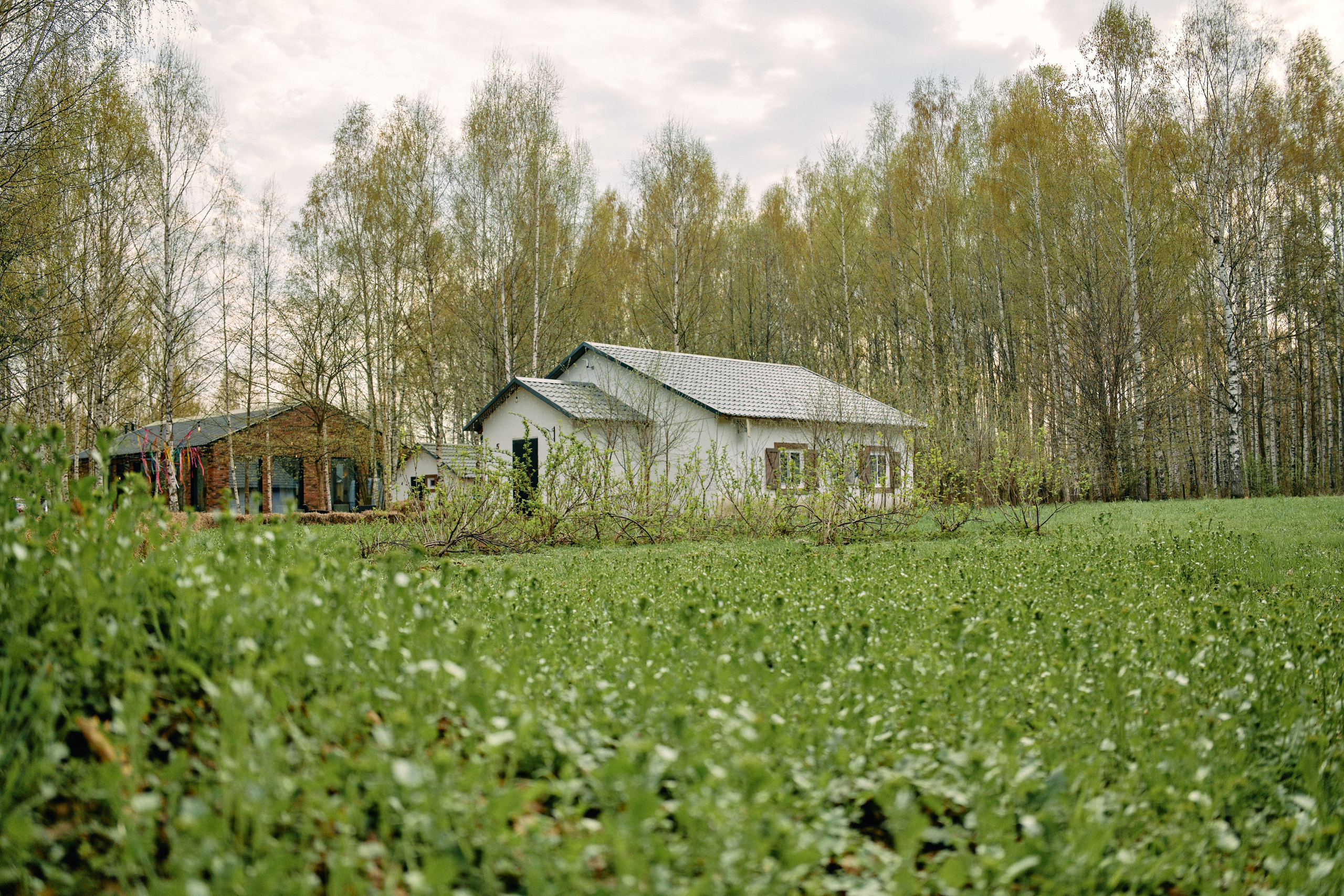 Бутик-отель Поле летом. Профессиональный Фотограф во Владимире, в Москве и в Суздале — Полина Романычева
