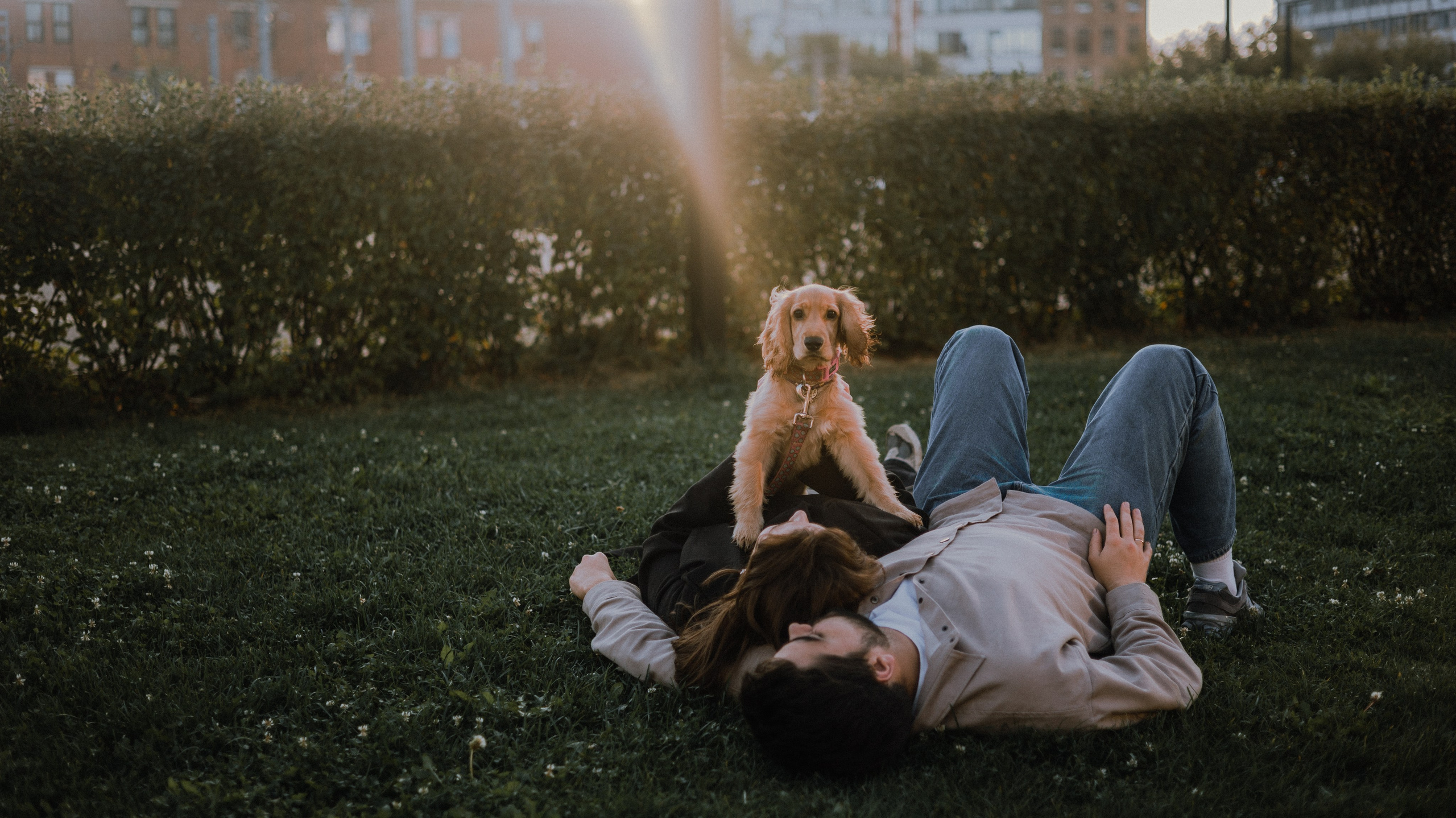 Аня, Андрей и Юта. Фотограф-анималист Богданова Полина