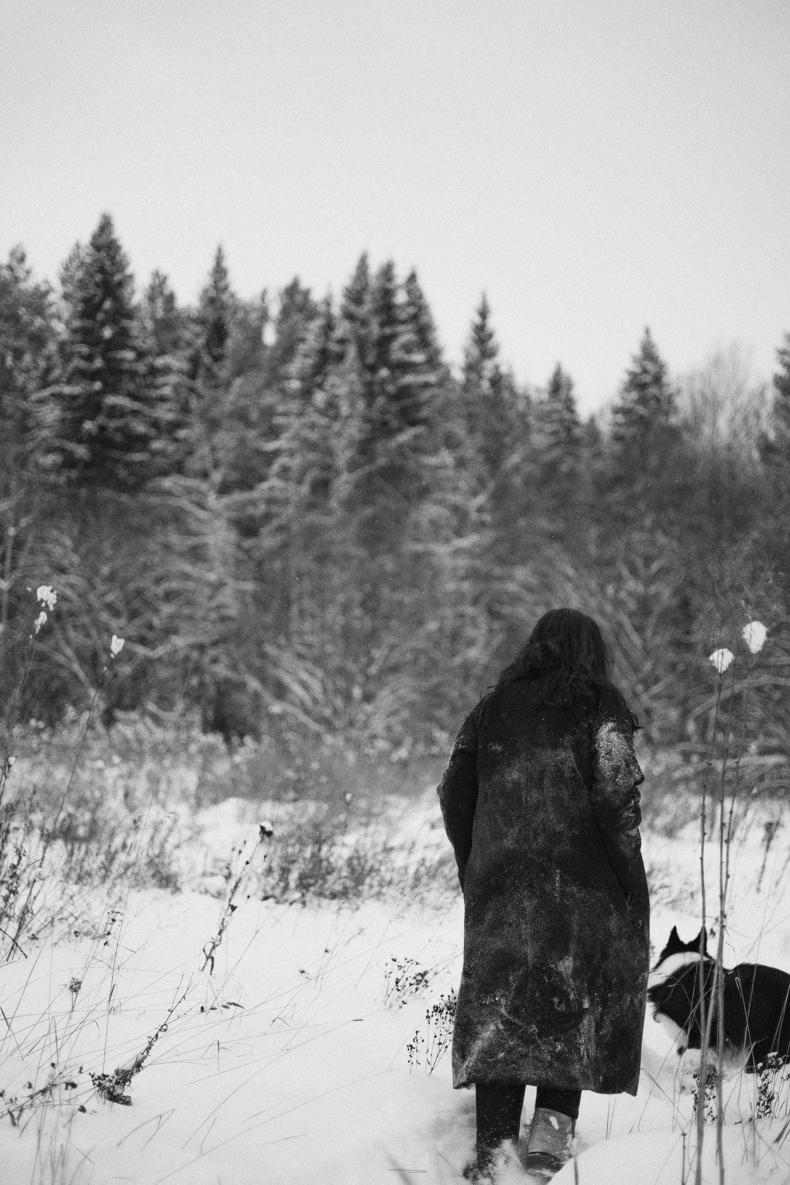 Алина и Найт. Фотограф-анималист Богданова Полина