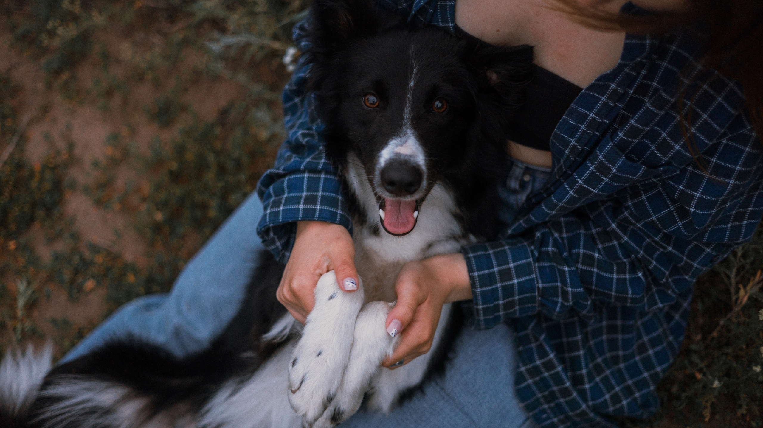 Аделя, Вандер, Шайна и Бая. Фотограф-анималист Богданова Полина