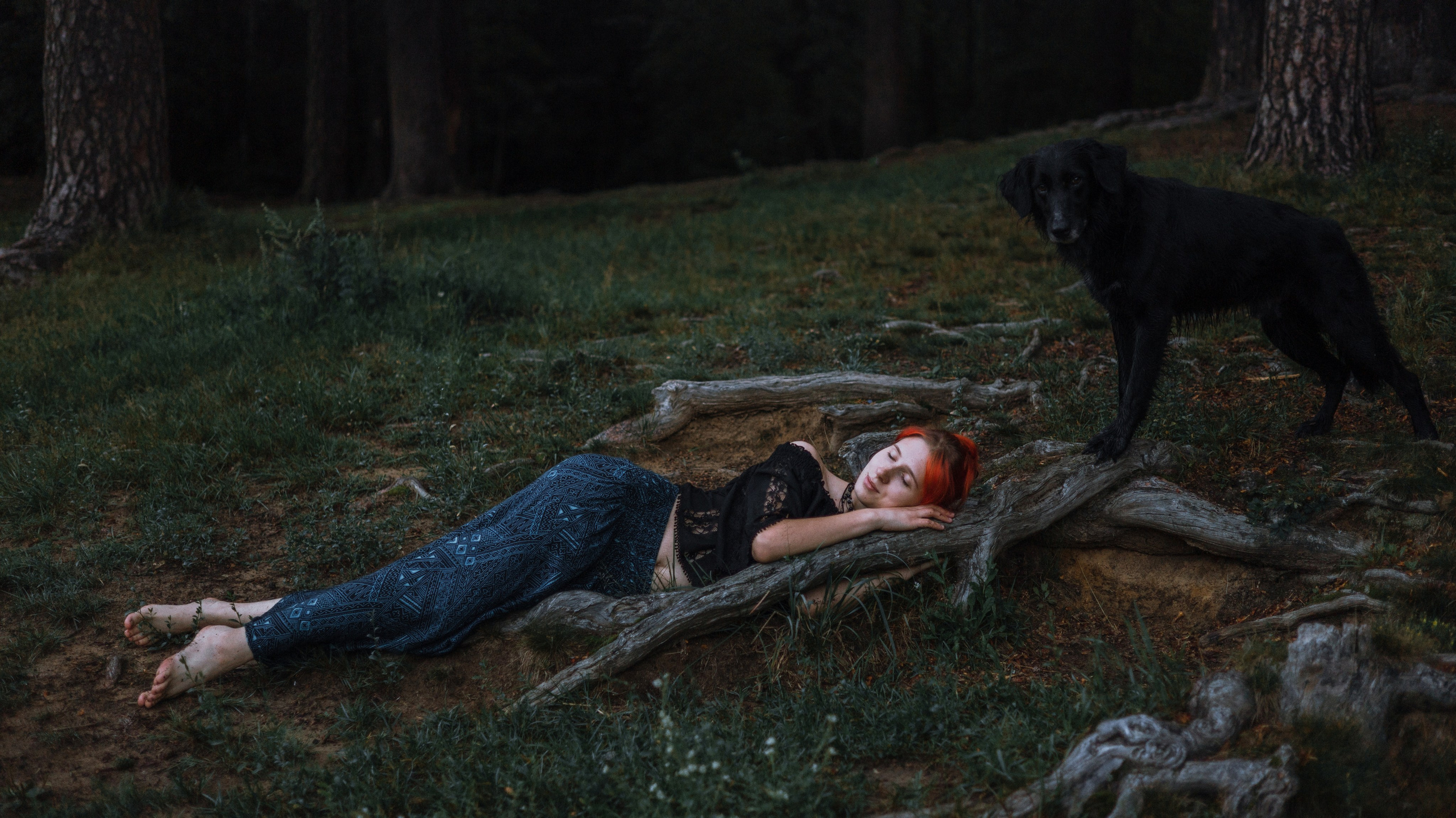 Лиза и Коди. Фотограф-анималист Богданова Полина