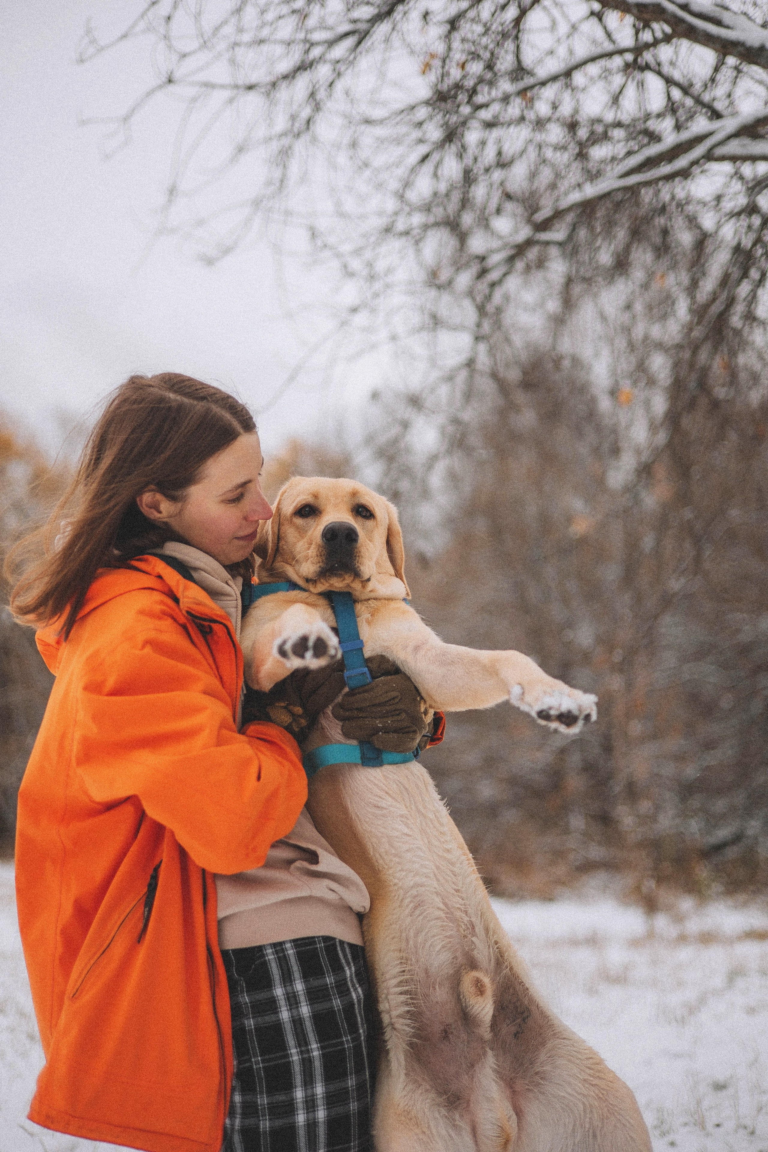 Маргарита и Варди. Фотограф-анималист Богданова Полина
