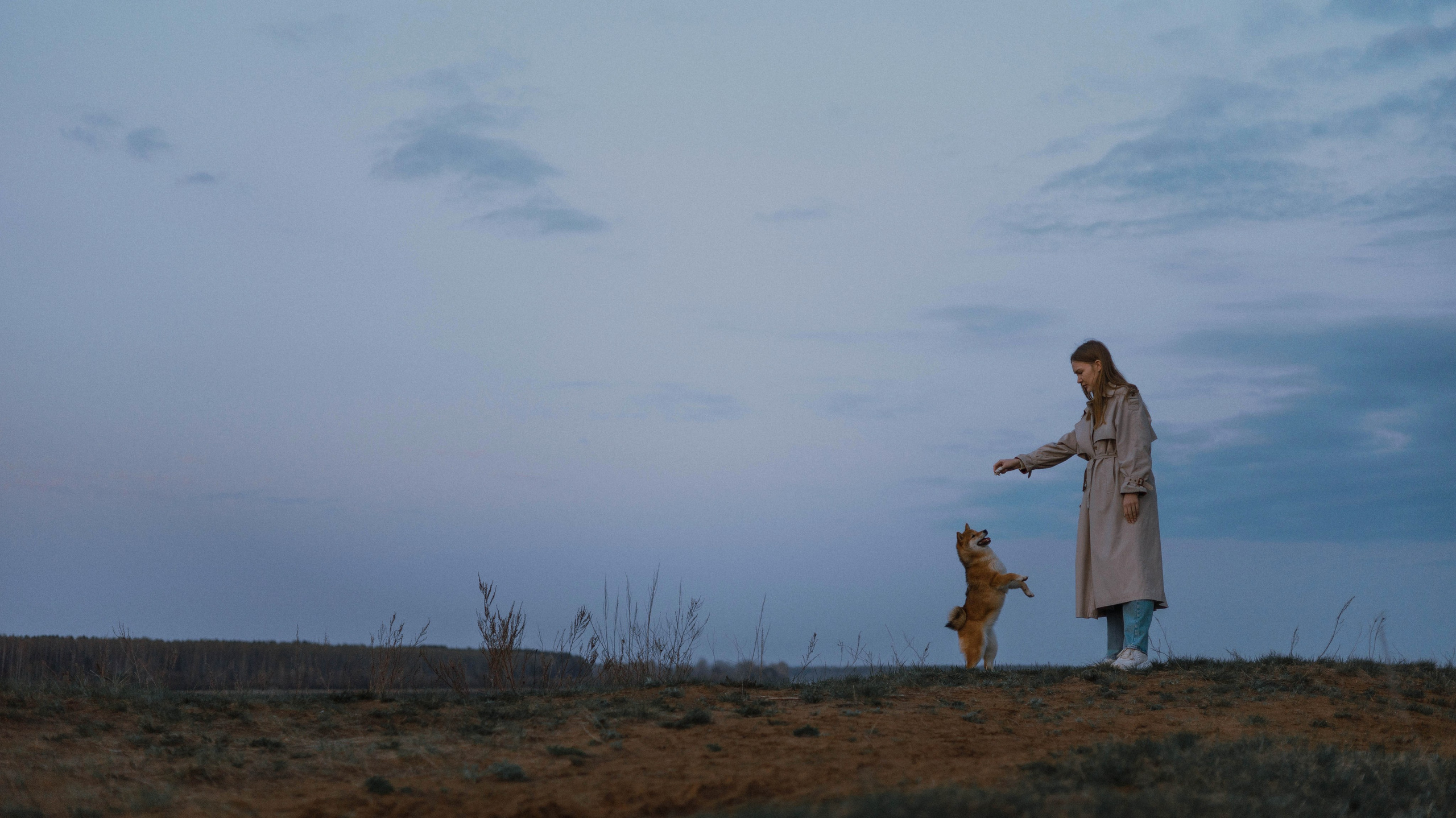 Аня и Шани. Фотограф-анималист Богданова Полина