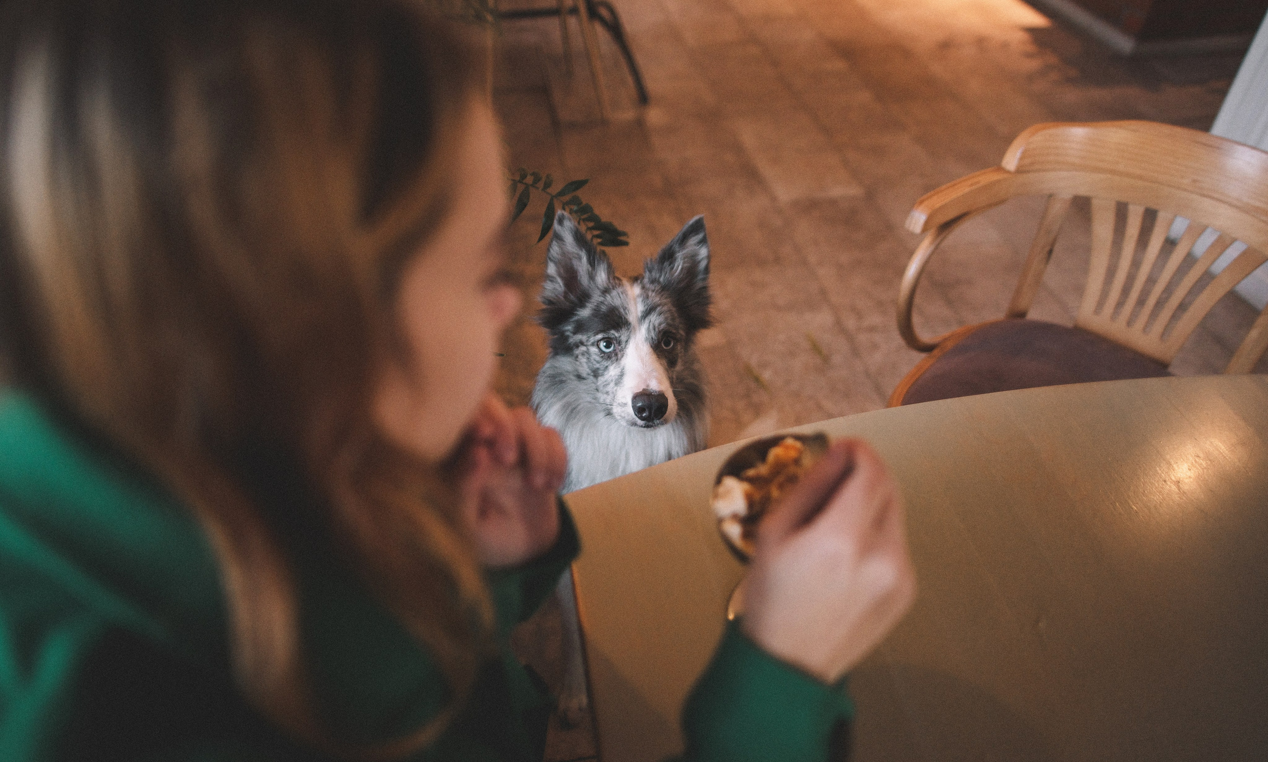 Диана и Робин. Фотограф-анималист Богданова Полина