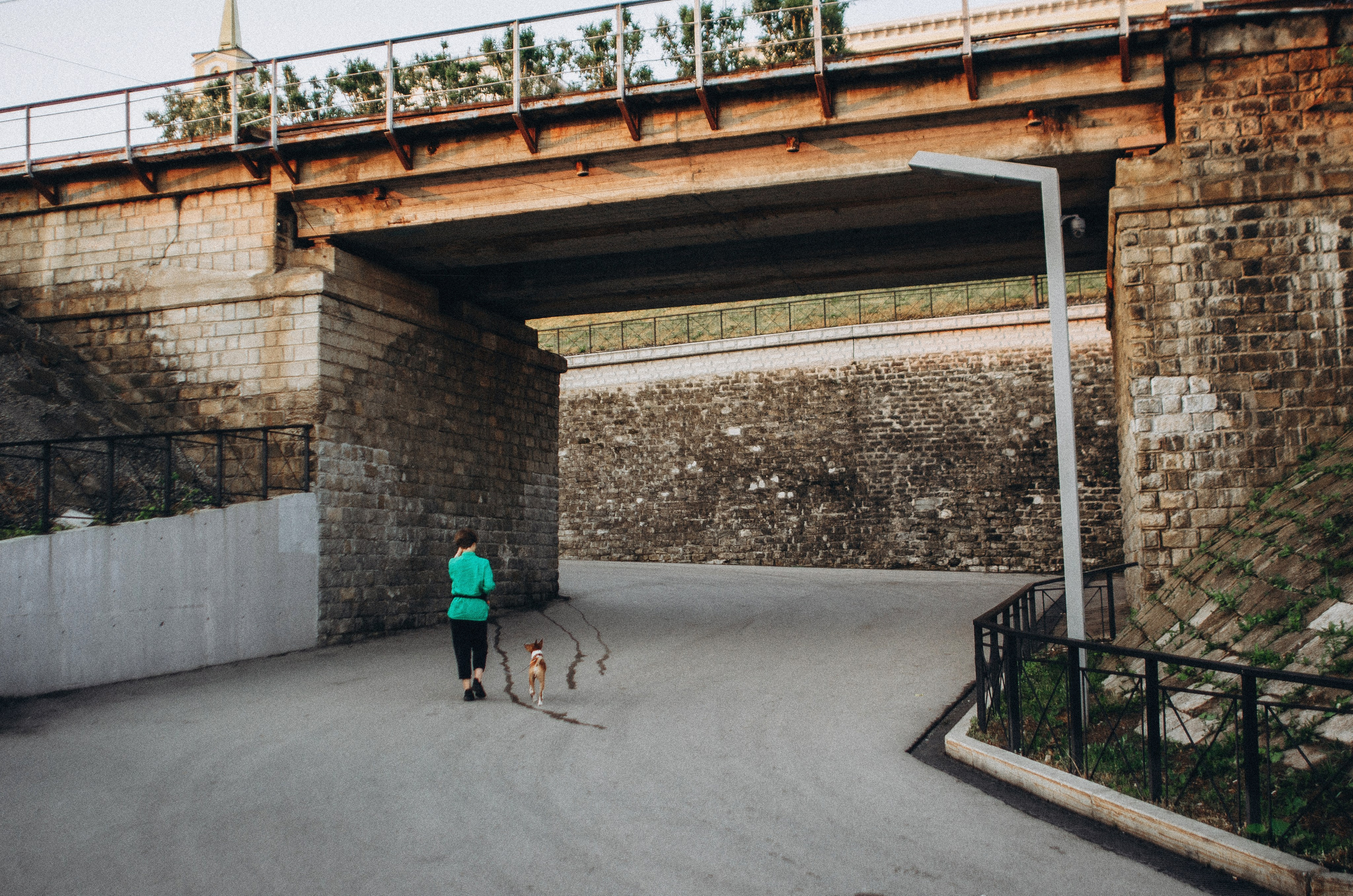 Снежана и Мэнни. Фотограф-анималист Богданова Полина