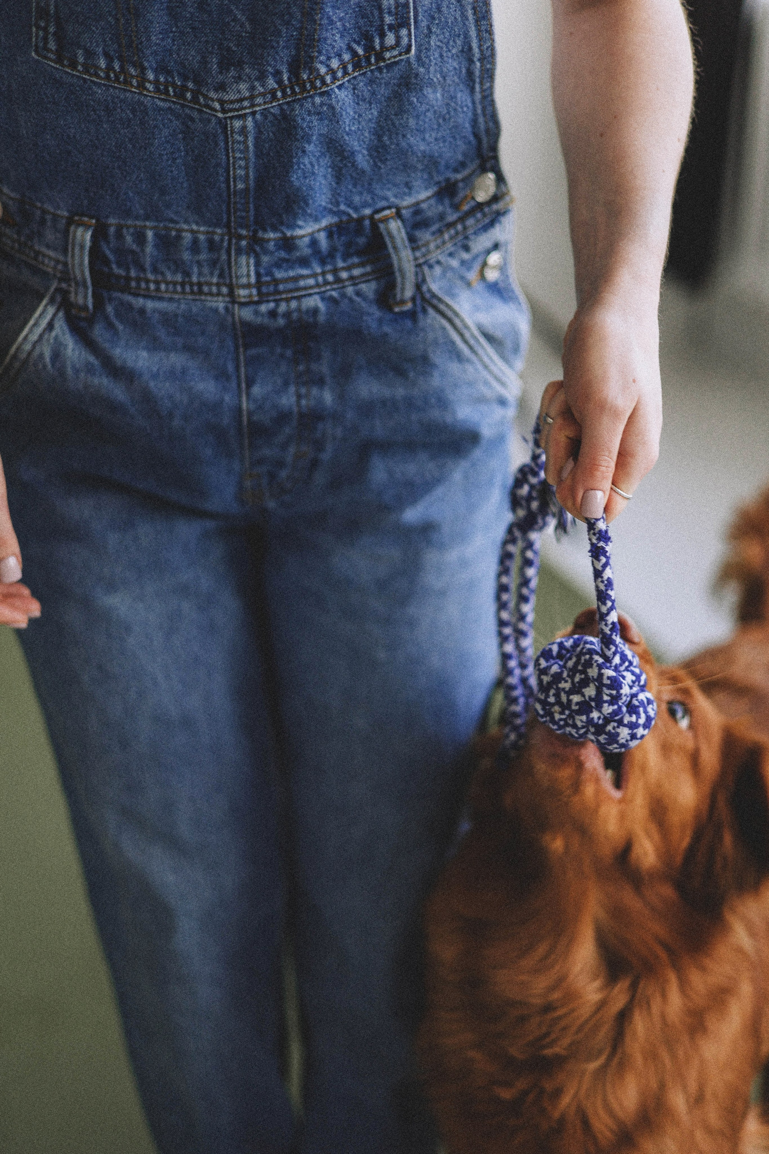 Аня и Лея. Фотограф-анималист Богданова Полина