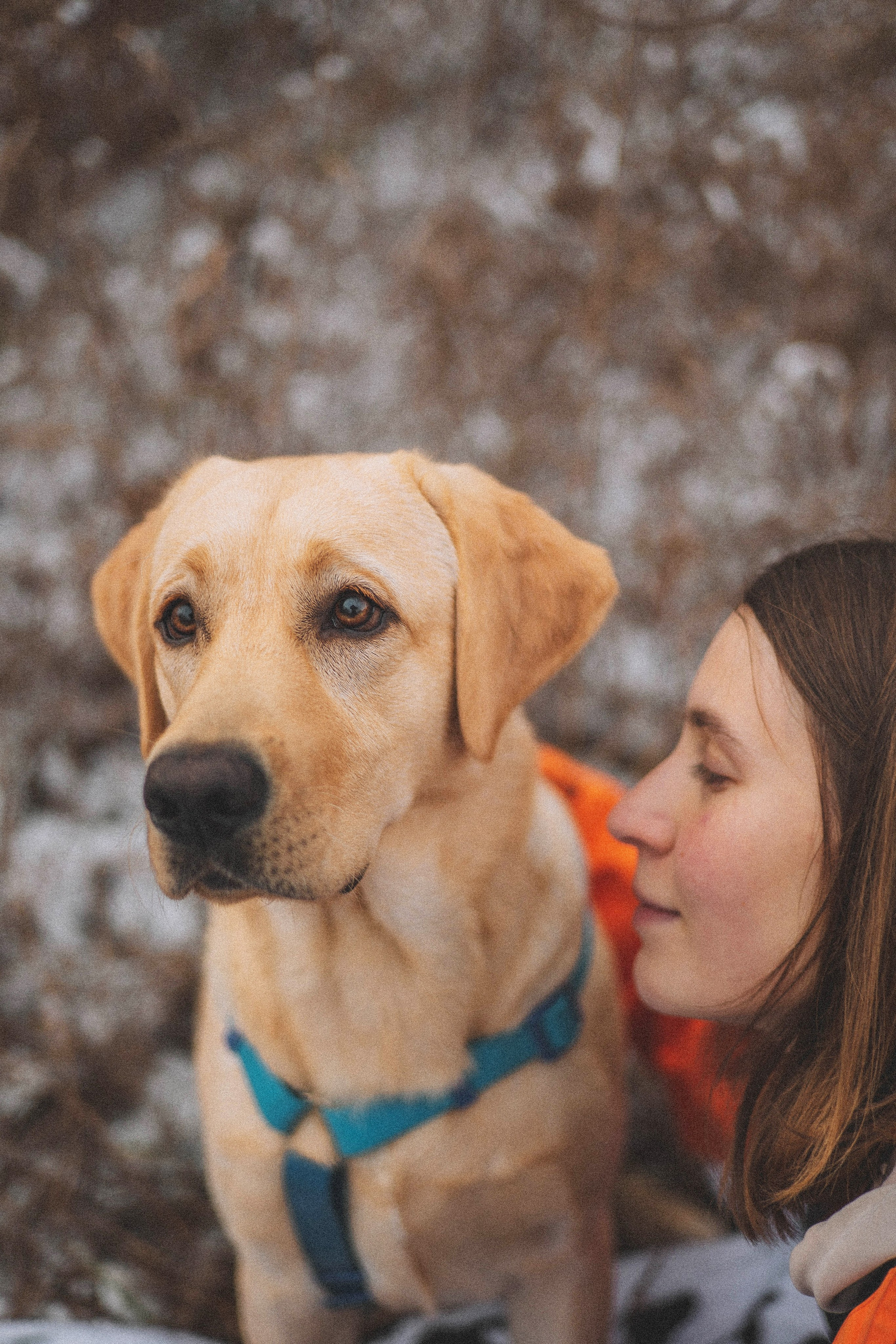 Маргарита и Варди. Фотограф-анималист Богданова Полина