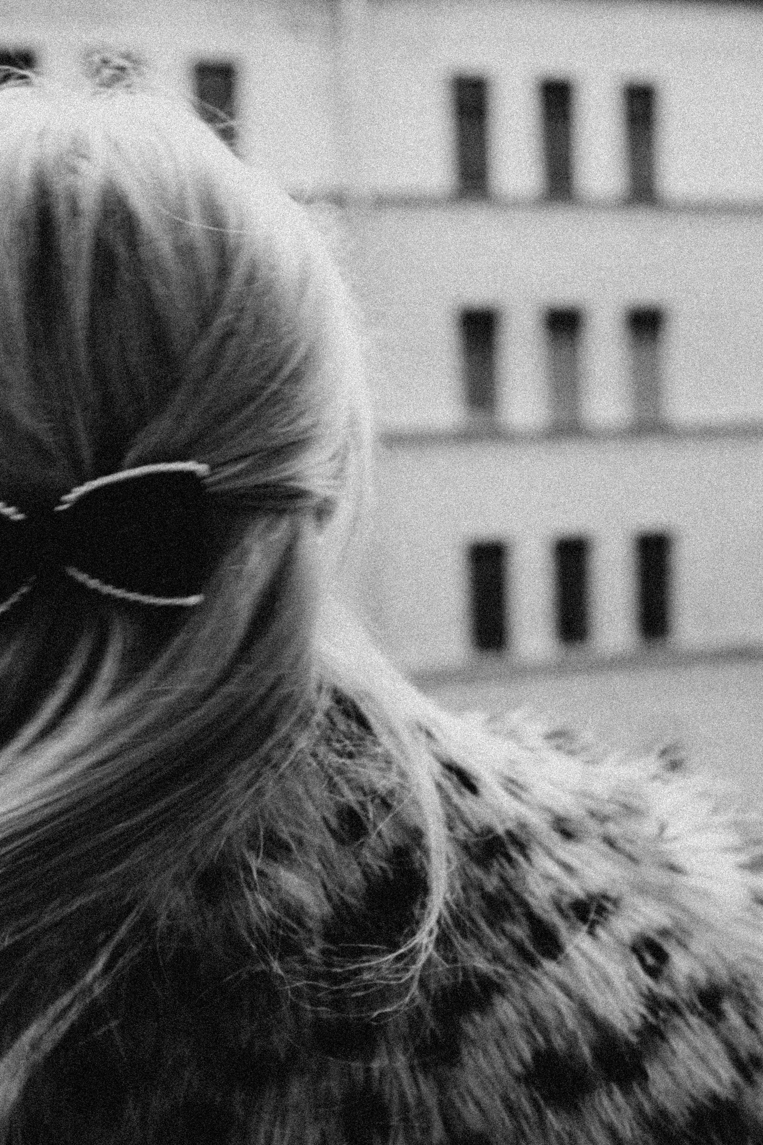 Винтажная серия. Профессиональный фотограф, Санкт-Петербург — Виктория Богомолова