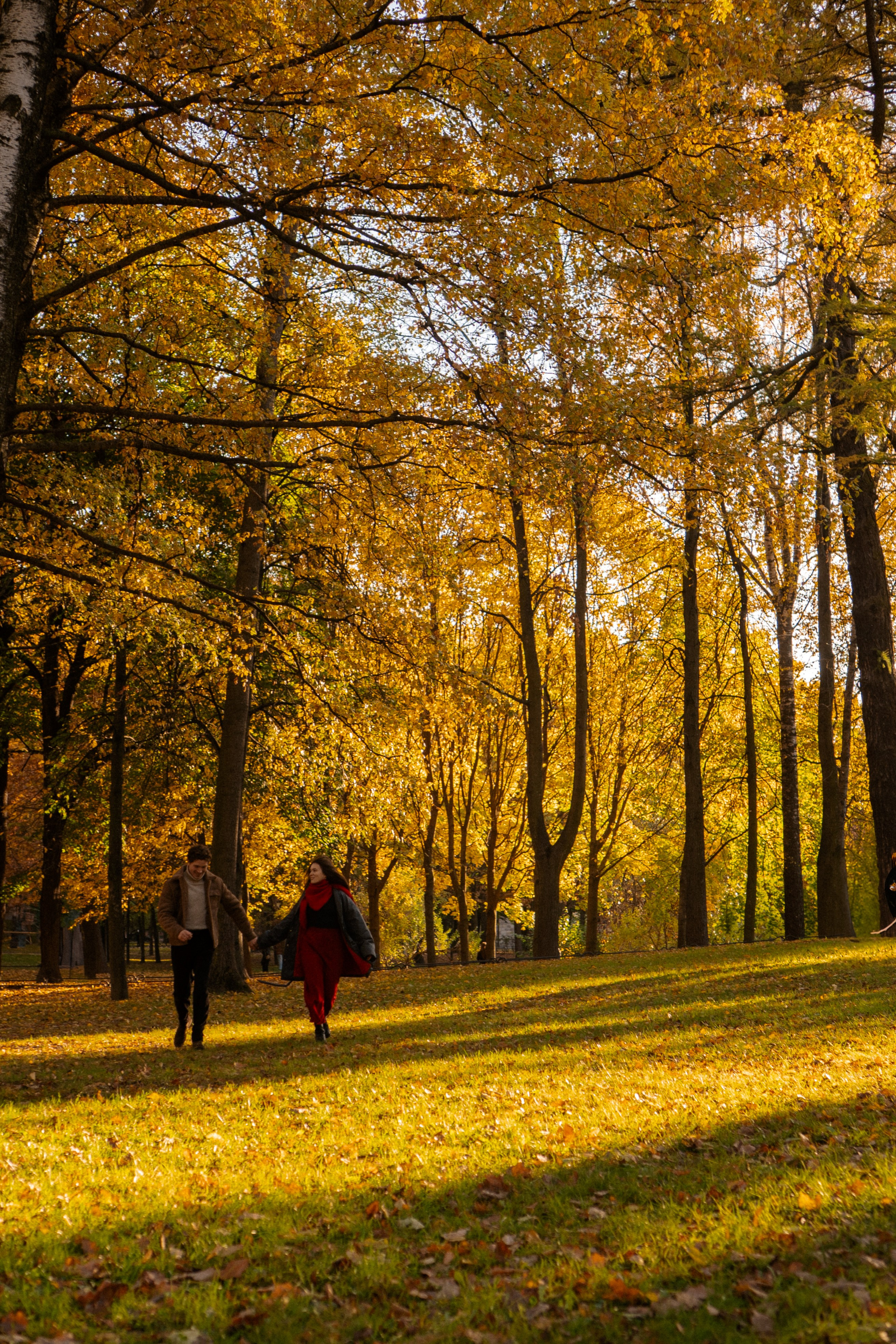 ОСЕННЯЯ ПРОГУЛКА. Профессиональный фотограф, Санкт-Петербург — Виктория Богомолова