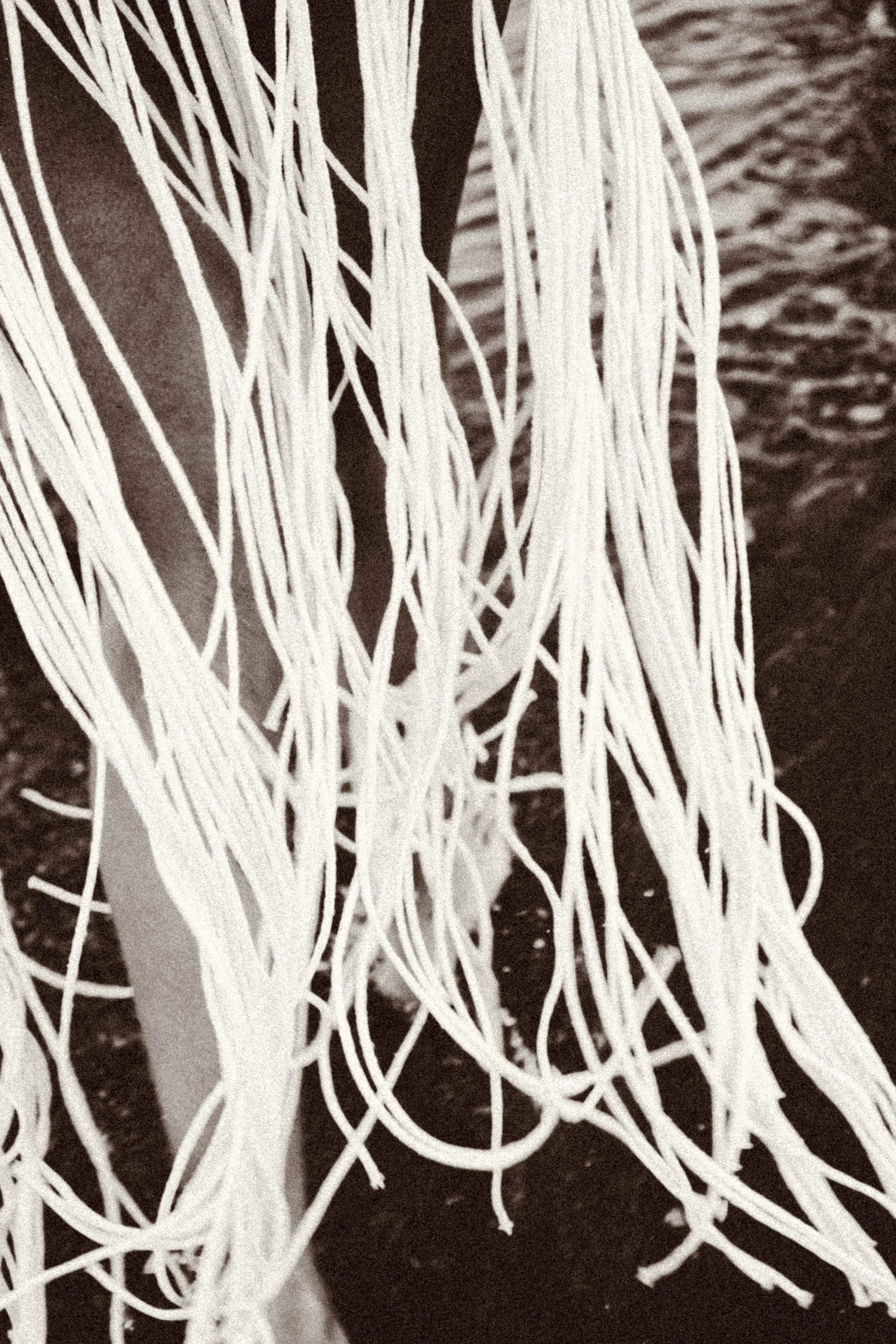 Рассвет. Профессиональный фотограф, Санкт-Петербург — Виктория Богомолова