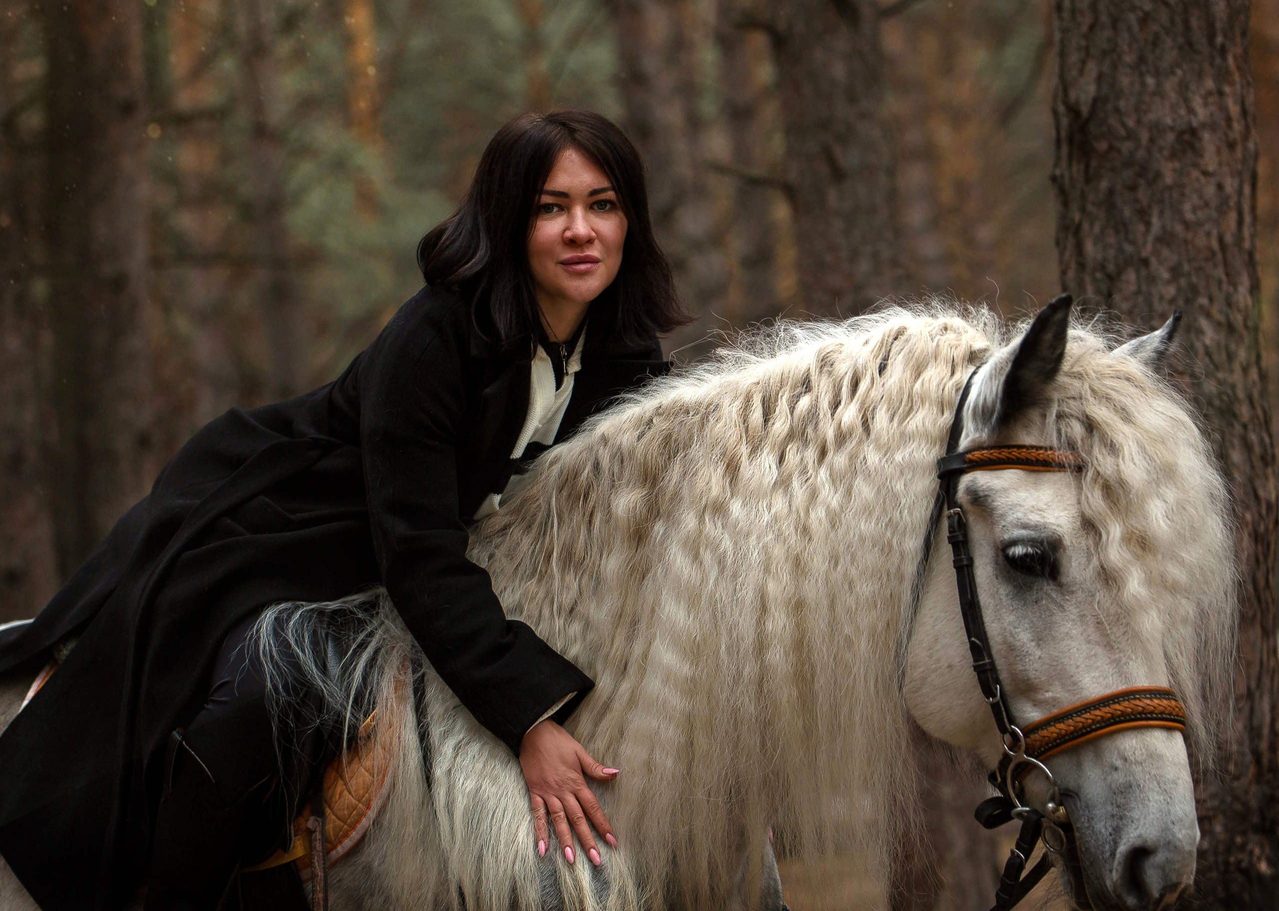 Феникс. Конный фотограф в Красноярске — Любовь Похабова