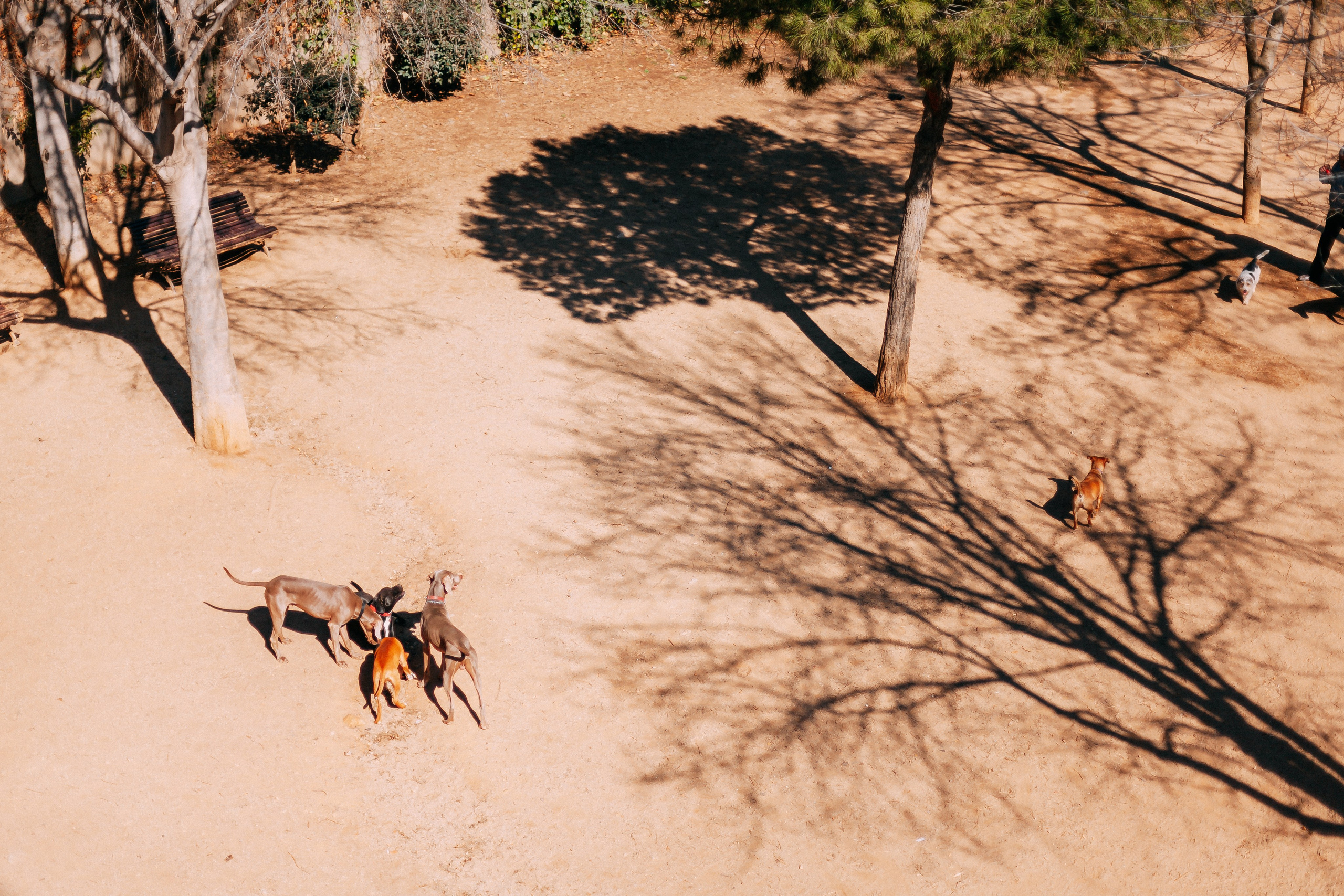 Барселона. Аня Степанова