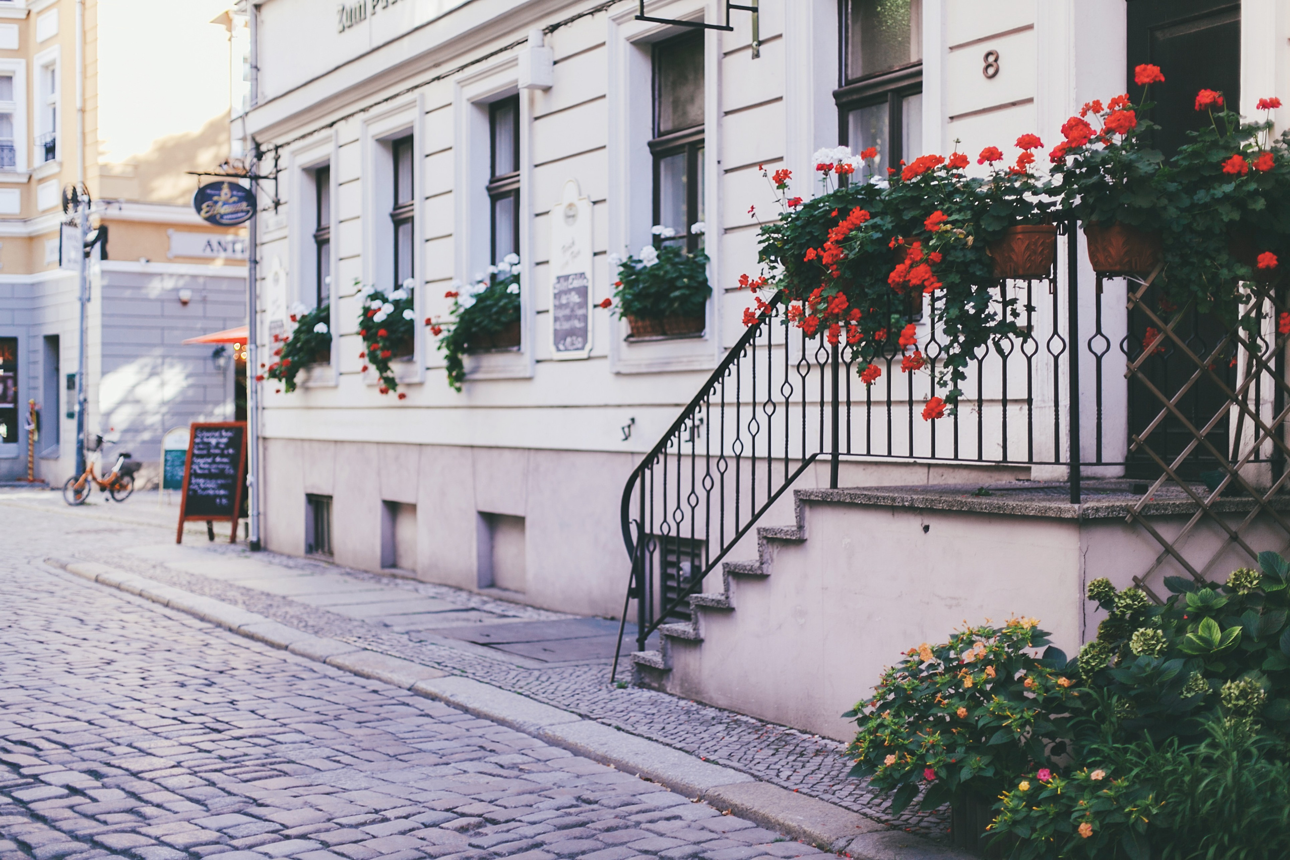 Берлин. Аня Степанова