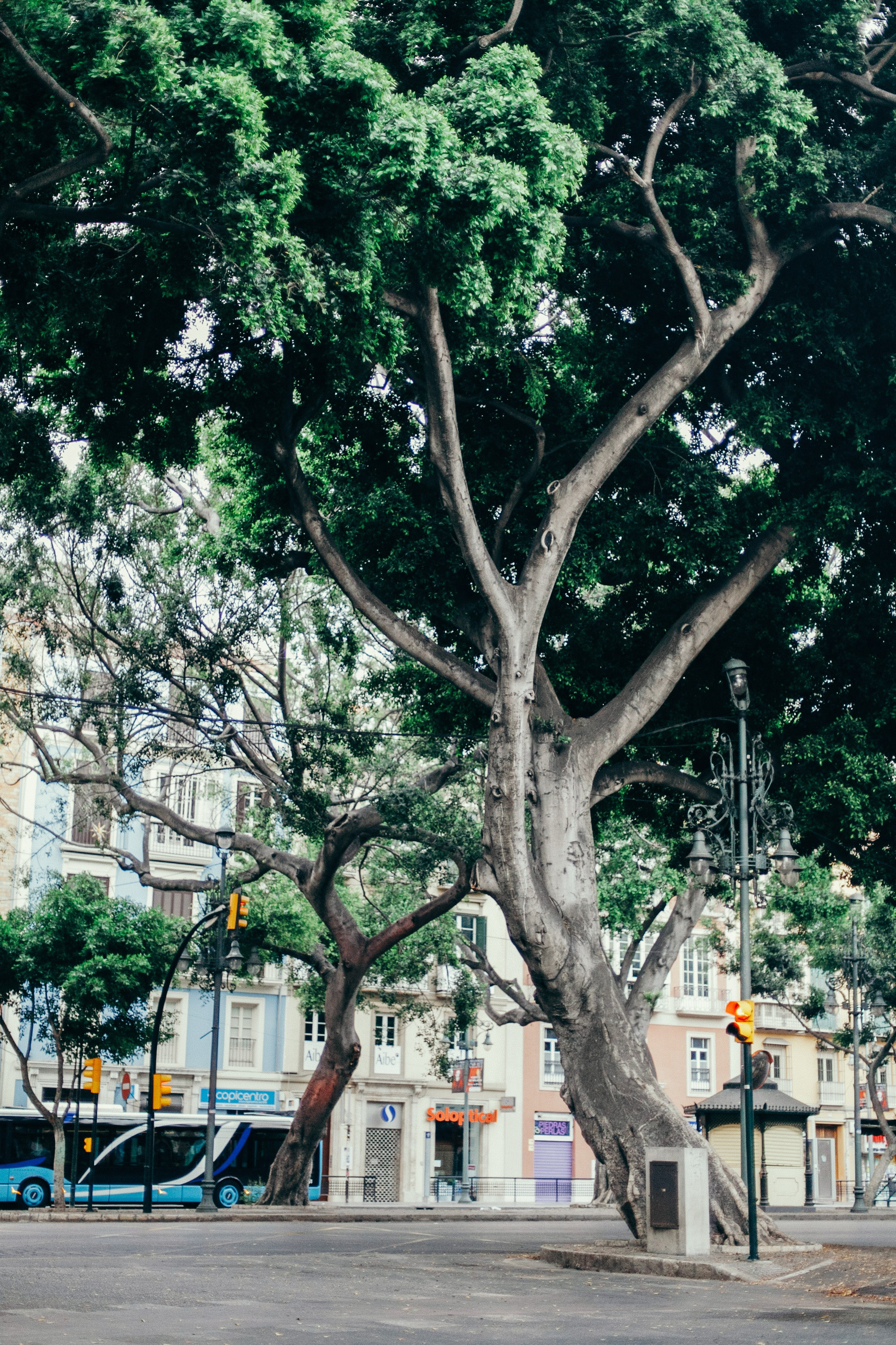 Малага. Аня Степанова