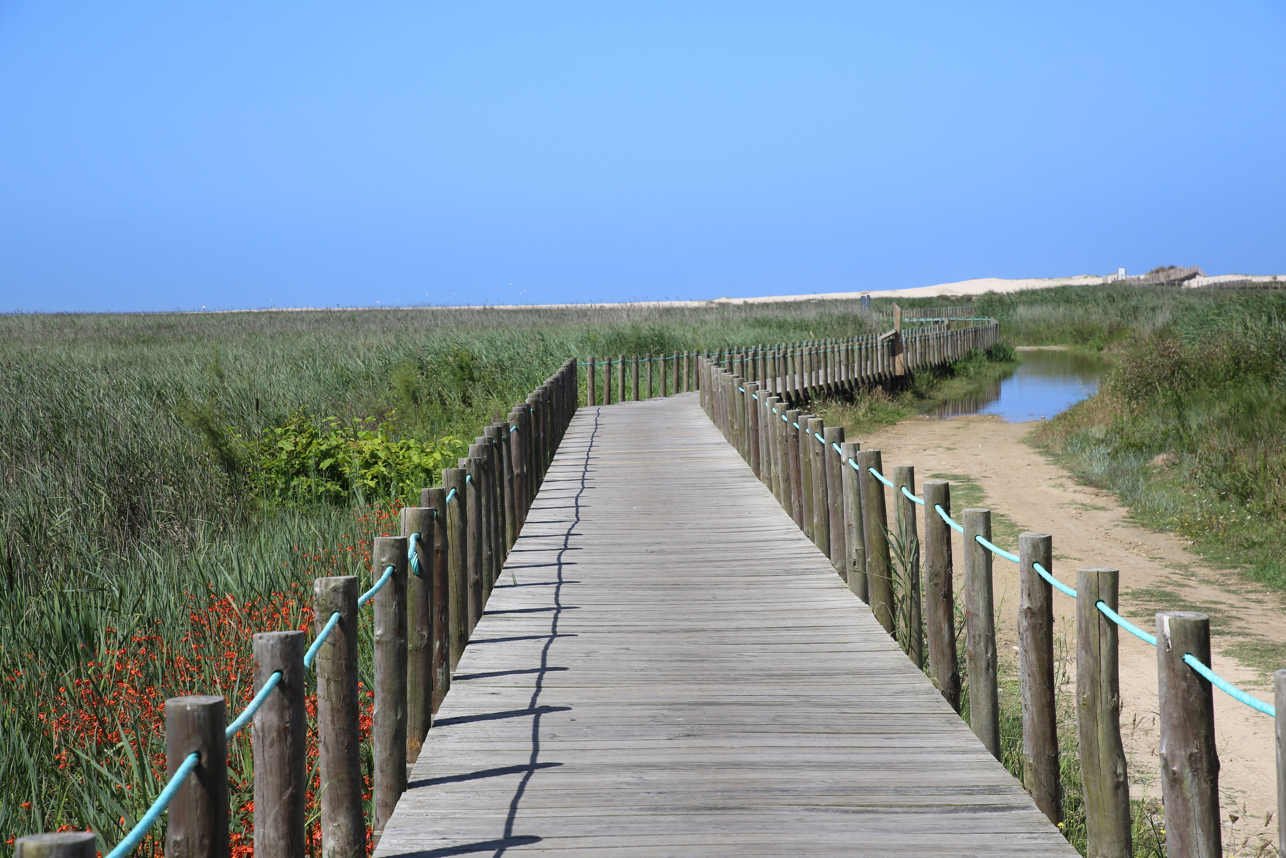 Esmoriz, Portugal. Andrey Filippov Photographer