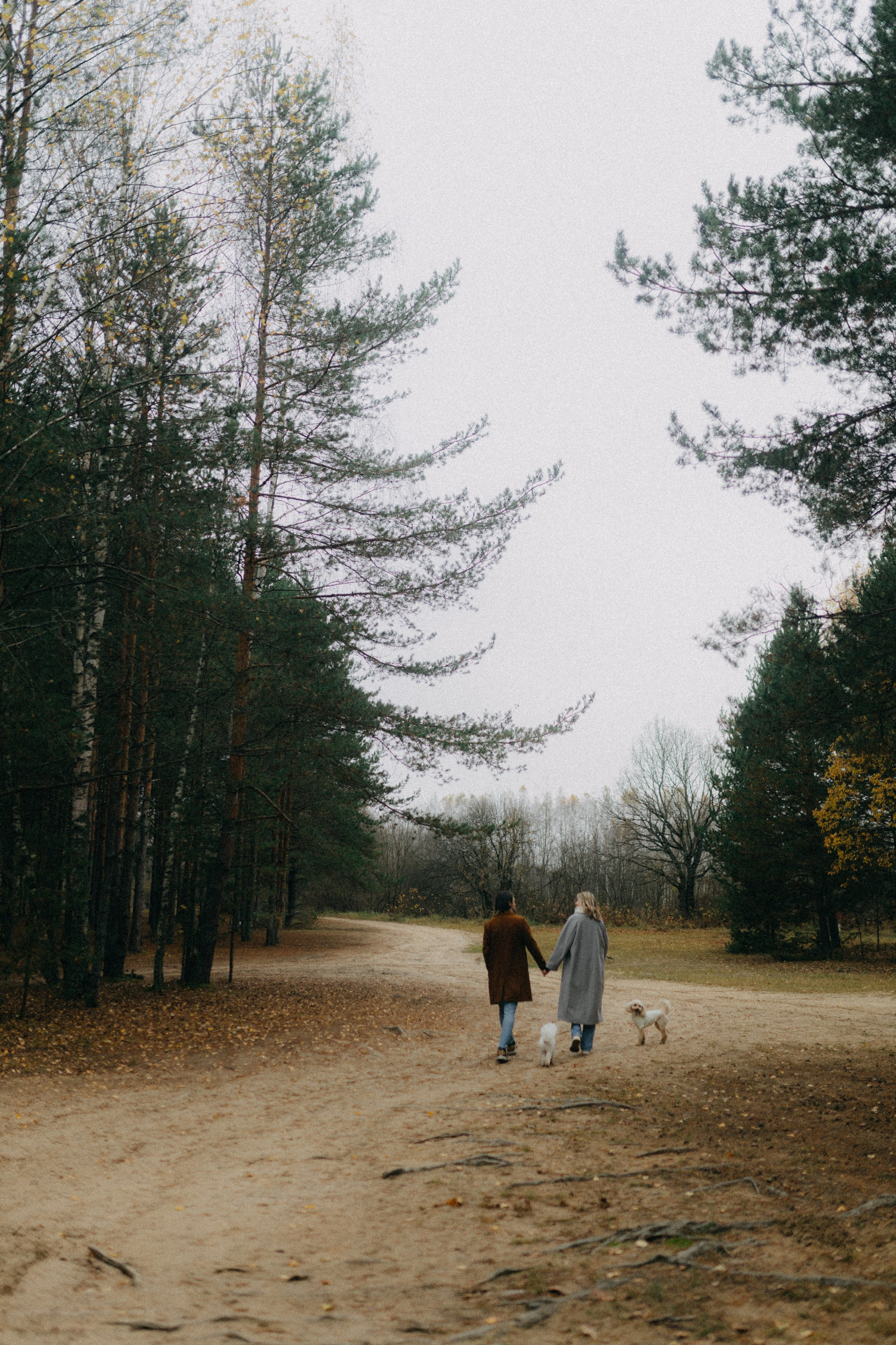 Лена & Миша. Фотограф НОГИНСК, Москва, Анастасия Белая