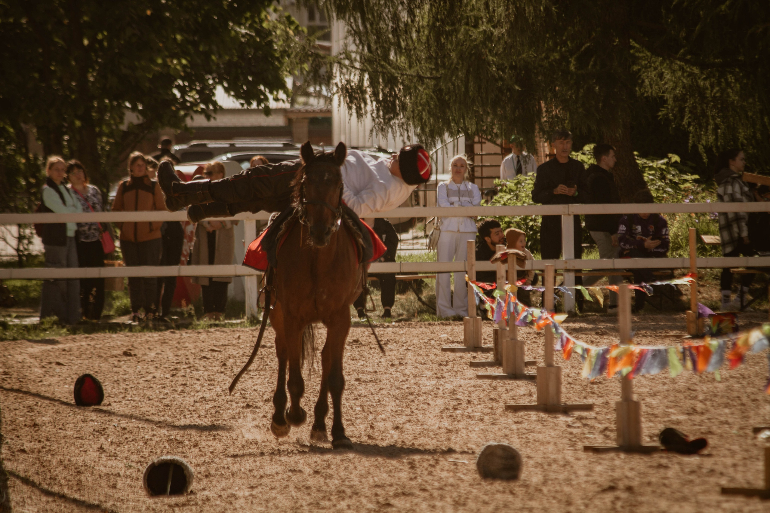 ИППОСФЕРА — Международная конная выставка. Создадим шедевр? Виталина и её фотоискусство