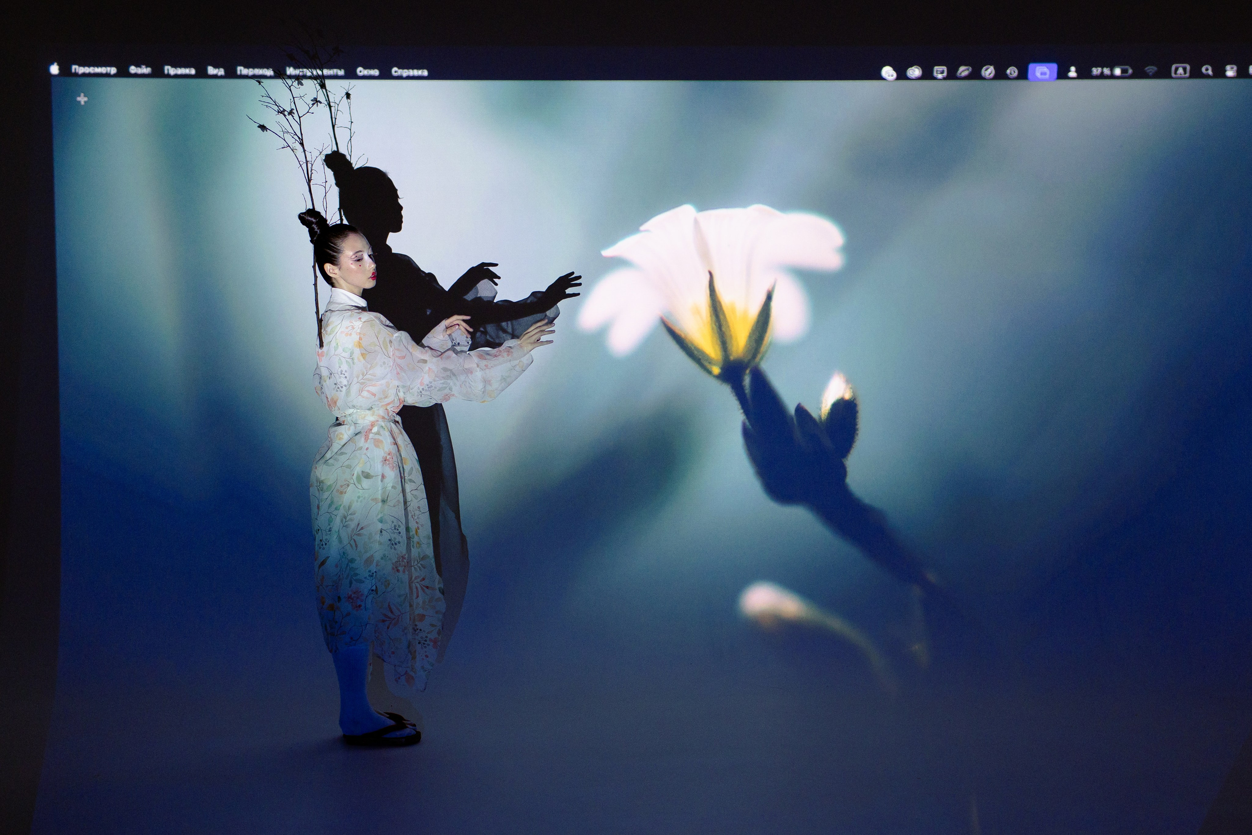 Colors films. Свадебный и семейный фотограф Спб Бошман Ирина