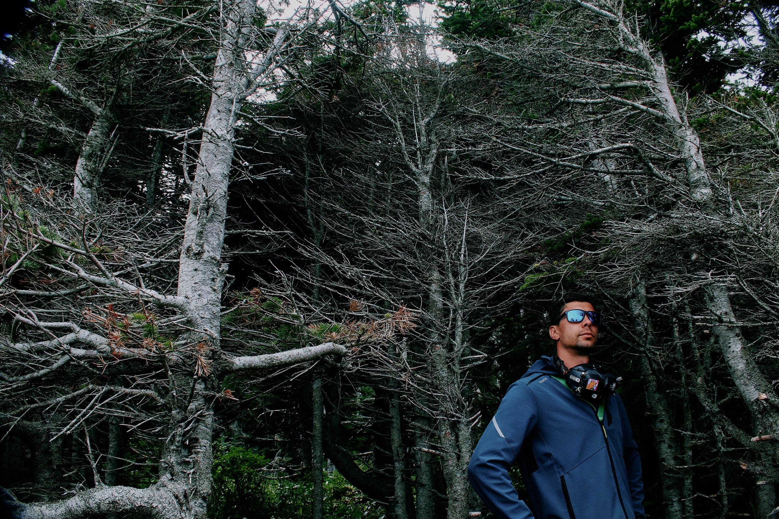 Travel. Фотограф в Челябинске — Дмитрий Носов