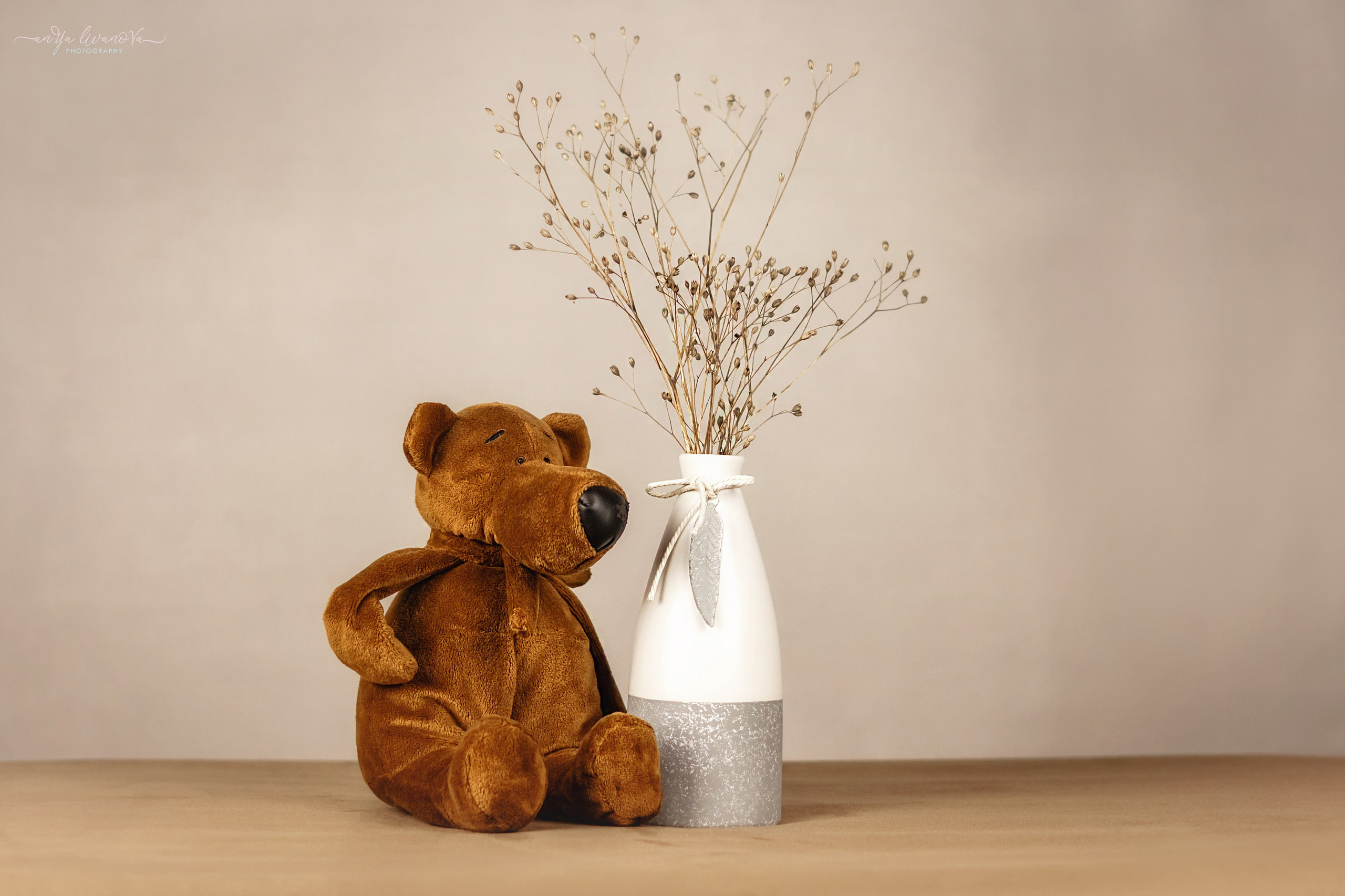 Светлый фон. Фотограф анималист Аня Ливанова | Рыбинск