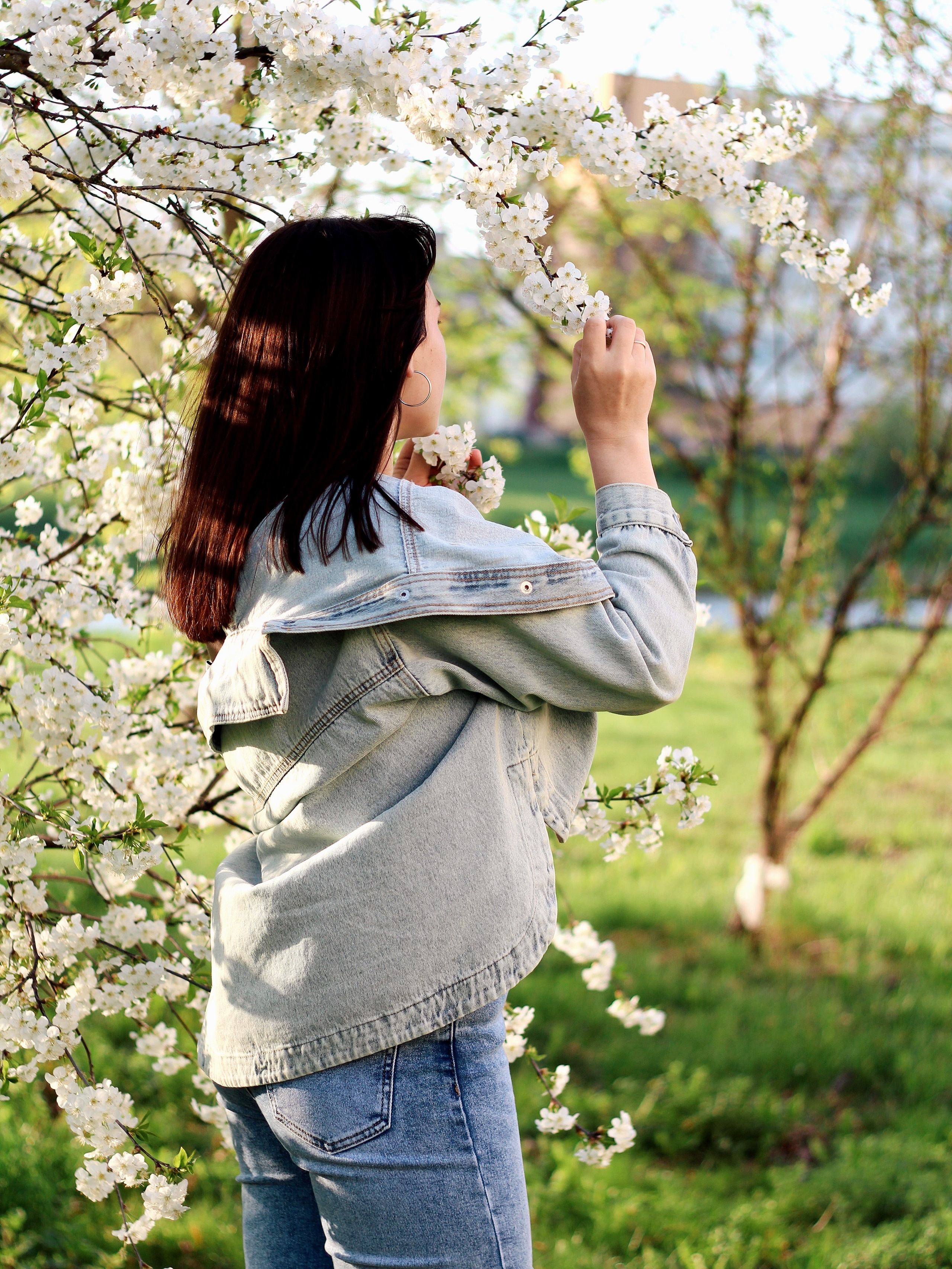 Цветение. Photography Eva