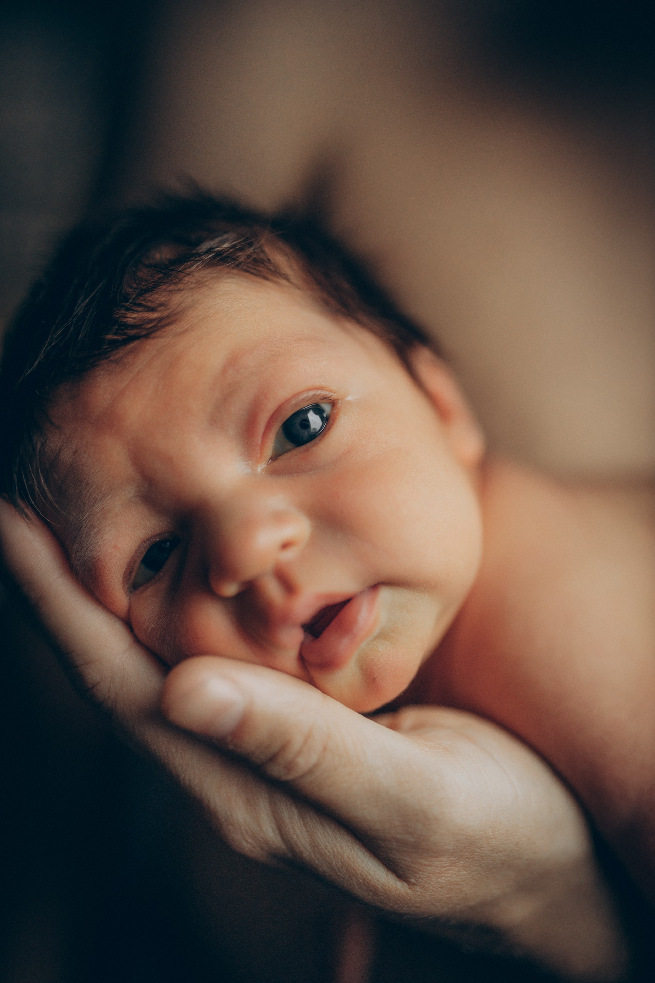 Вика, Вова и Федя. Семейный фотограф и фотограф на роды в Ростове-на-Дону Мухина Виктория