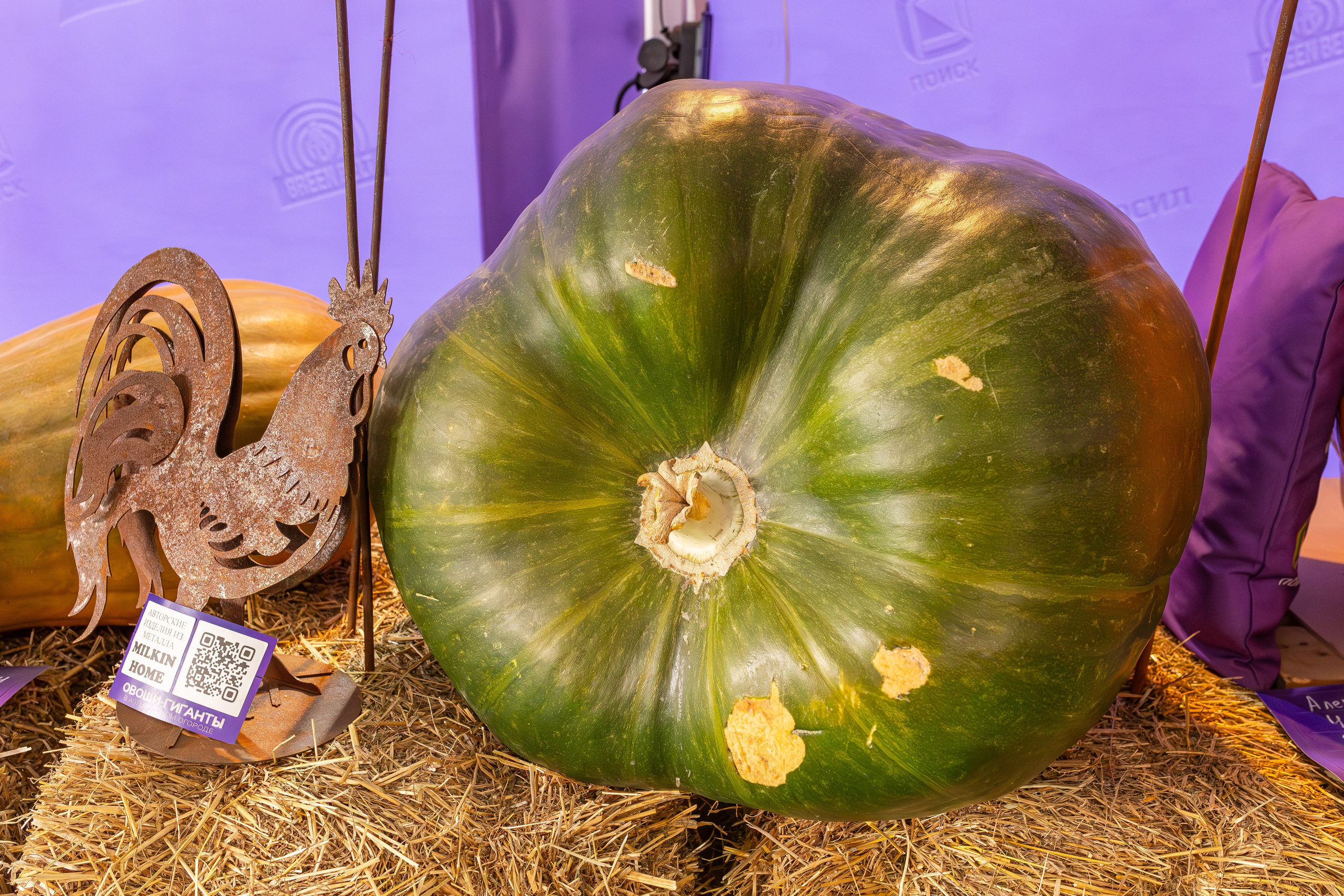 Овощи-гиганты. Александра Куликова фотограф, Москва