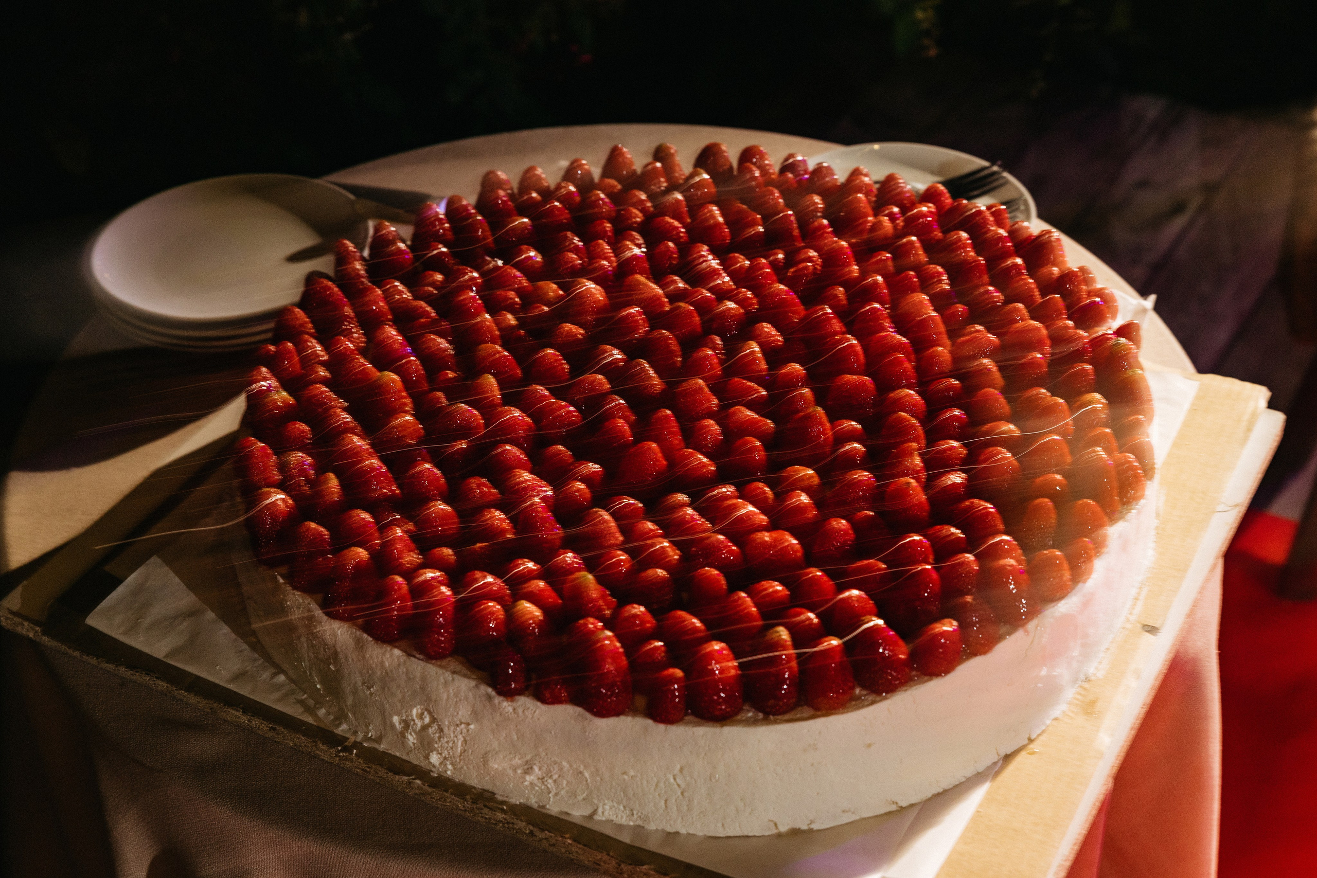 СВАДЬБА В ЛЕСУ ЛИЗЫ И ДИМЫ | ВЛАДИВОСТОК. Фотограф во Владивостоке Антон Блохин