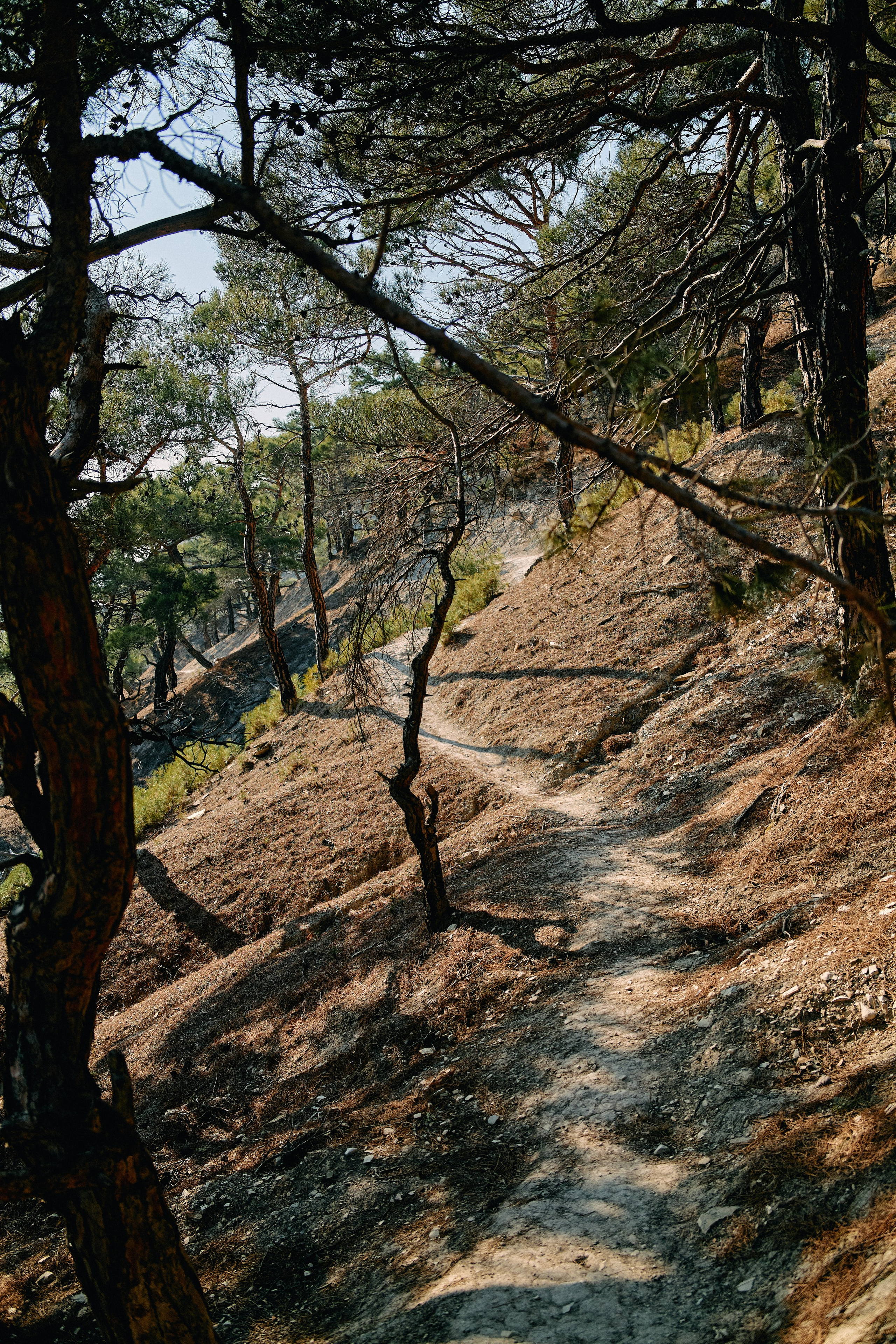 Юг России. Профессиональный Фотограф во Владимире, в Москве и в Суздале — Полина Романычева