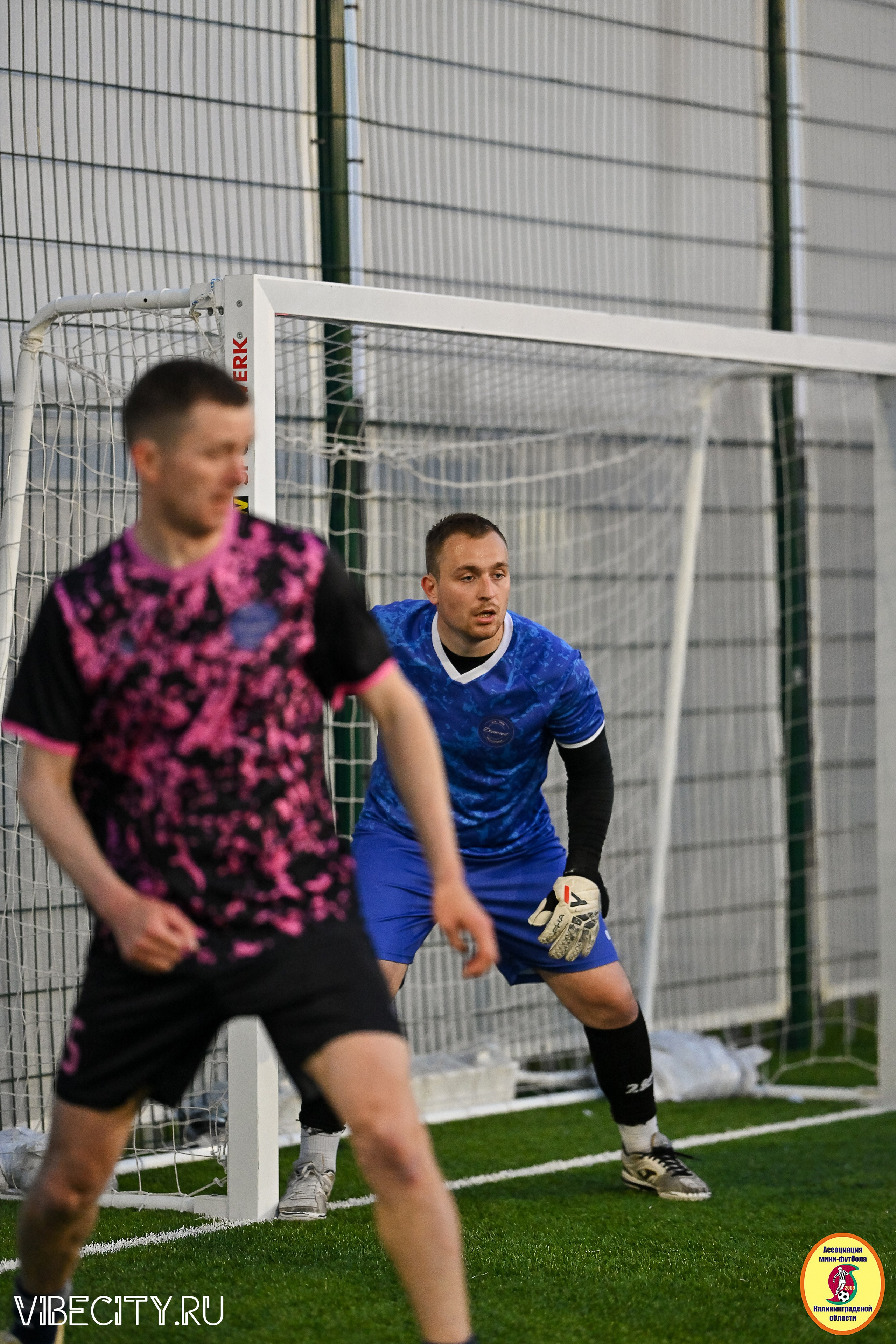 ИГРЫ МИНИ-ФУТБОЛЬНОЙ И КОРПОРАТИВНОЙ ЛИГИ. VIBECITY.RU Вайб Сити Ру Фоторепортажи Фотоотчеты Калининград