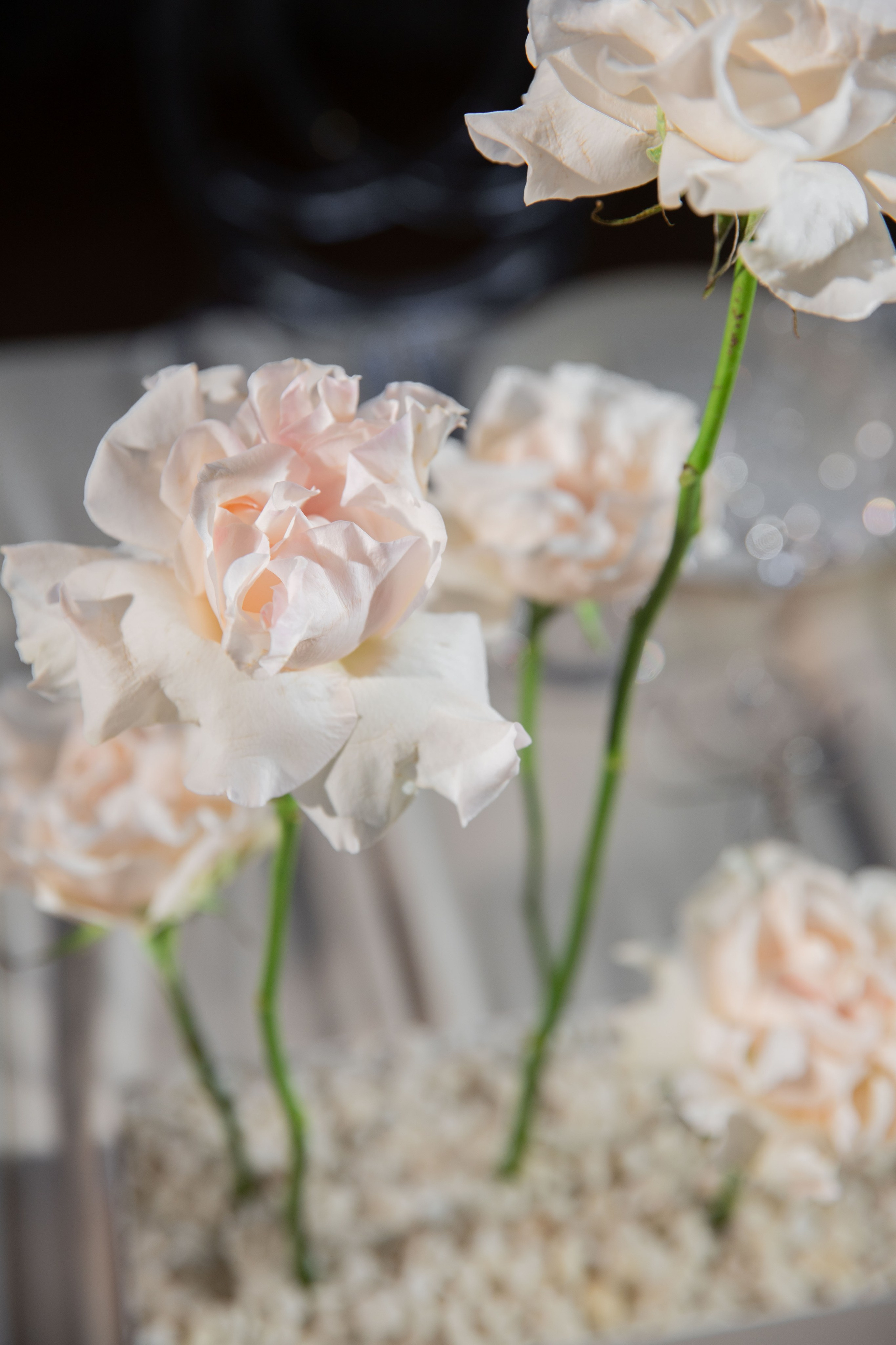 Путилов. Свадебный фотограф Анастасия Казакова