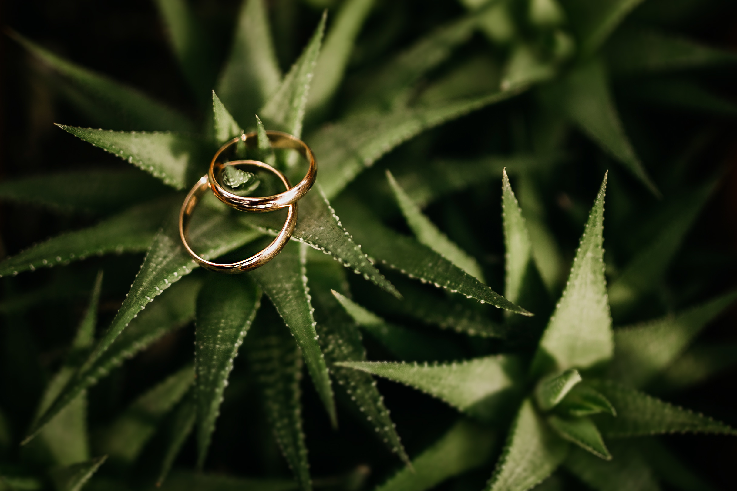 Свадебная серия. Свадебный фотограф в Санкт-Петербурге Игорь Бабенко