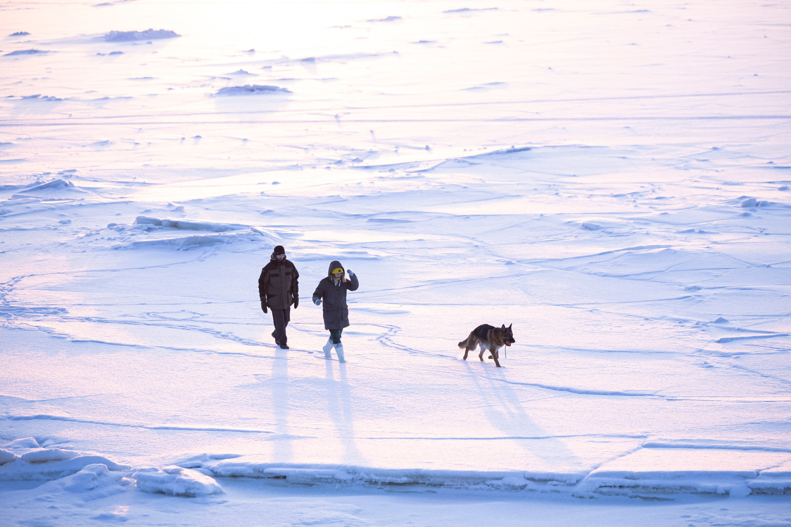 Рейн. Фотограф-анималист Анна Маринич