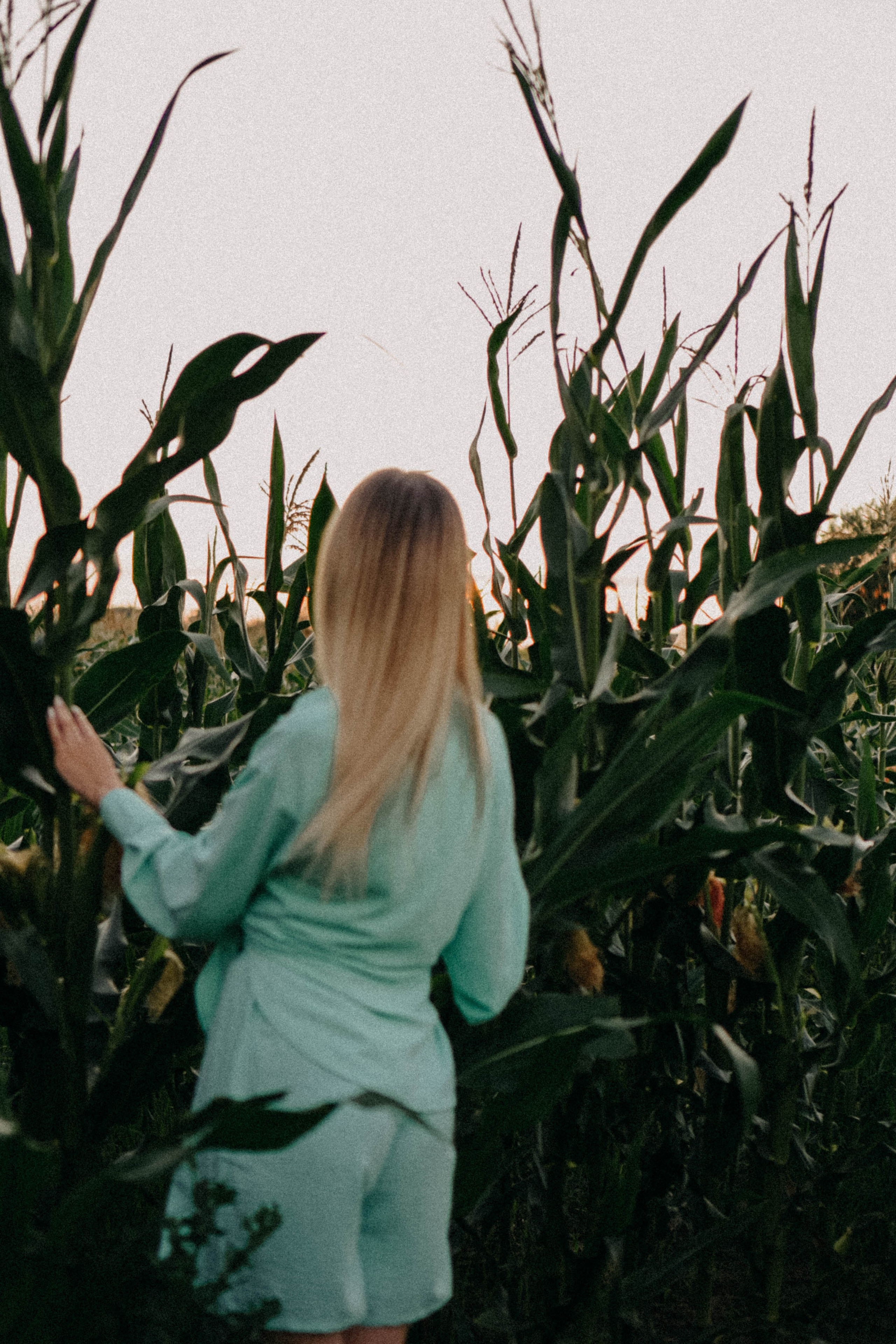Летний вечер. Профессиональный фотограф, Санкт-Петербург — Виктория Богомолова