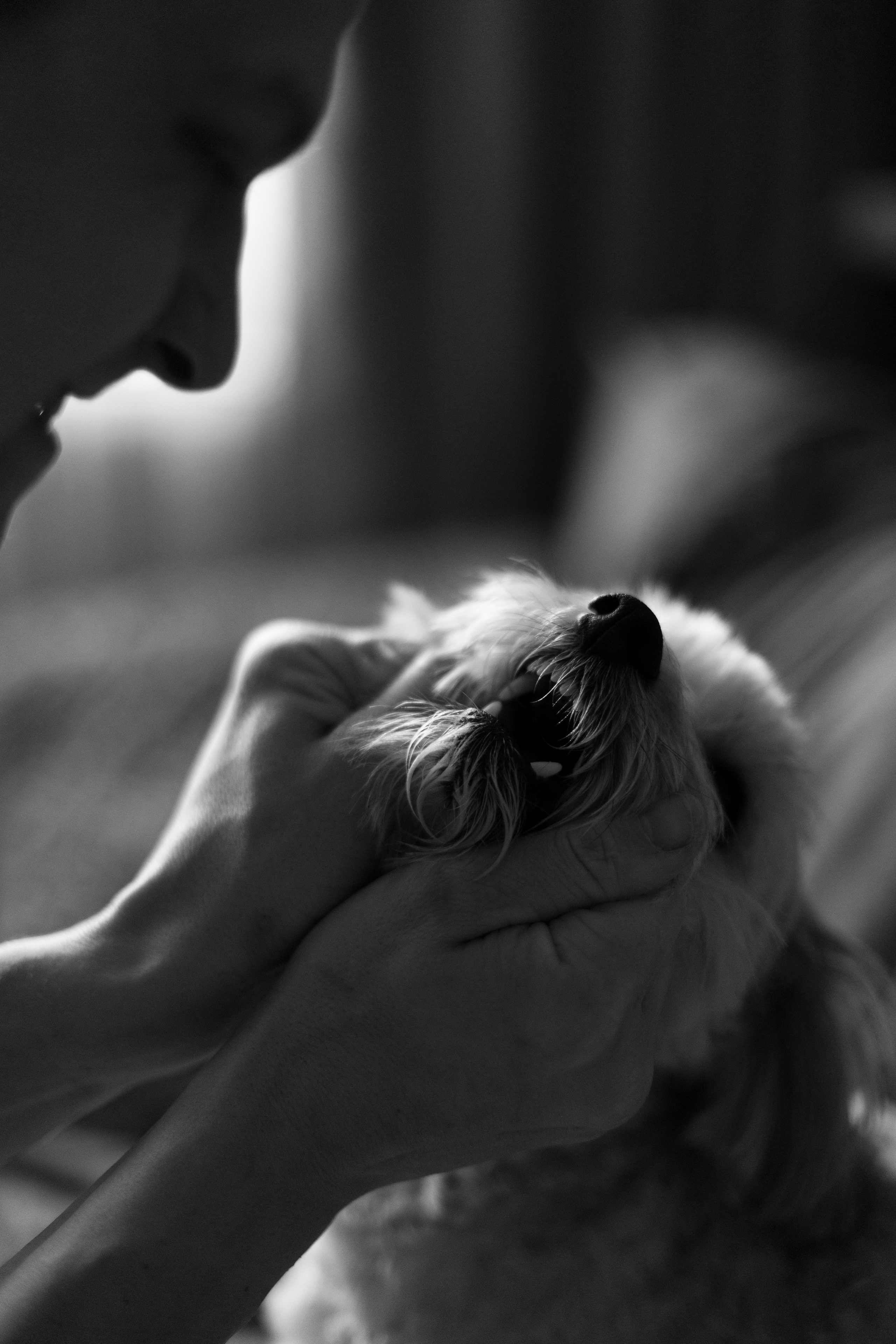 Наталья и Артур. Фотограф Алина Кучумова