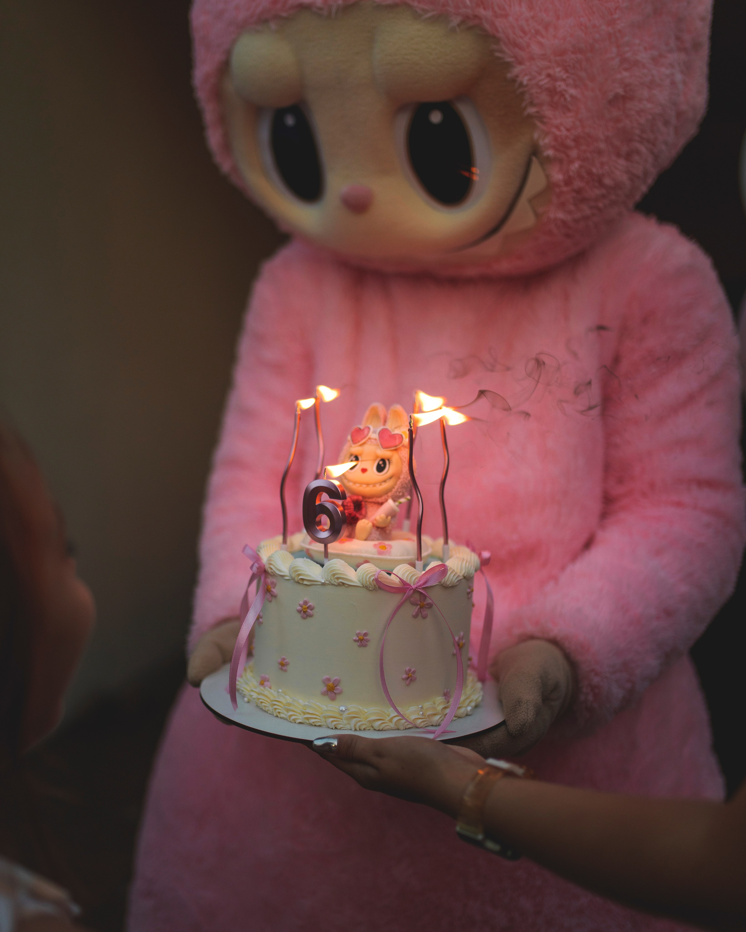 HB 2025 Ярослава