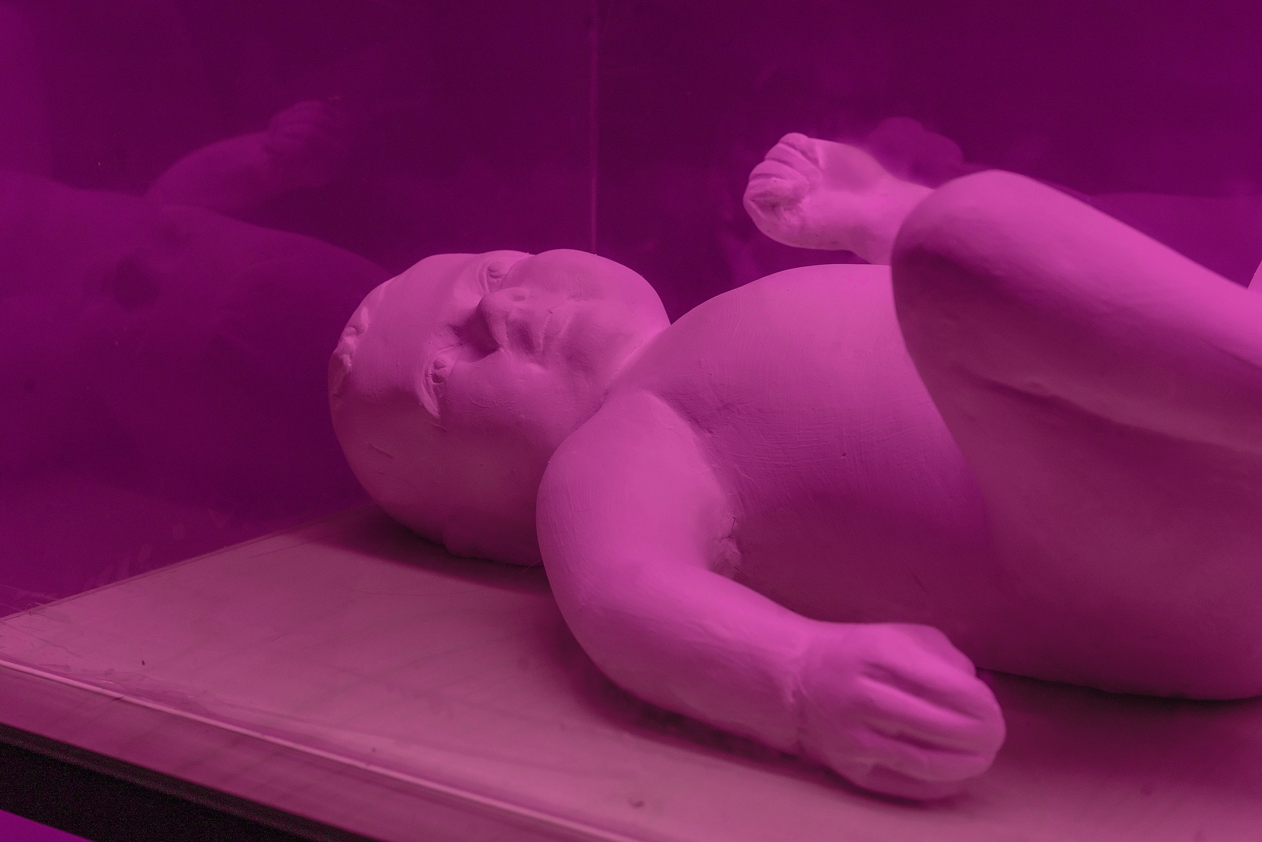 Инсталляция «Парниковый эффект» Художницы Софьи Григорьевой на тему сиротства, подростков в детских домах