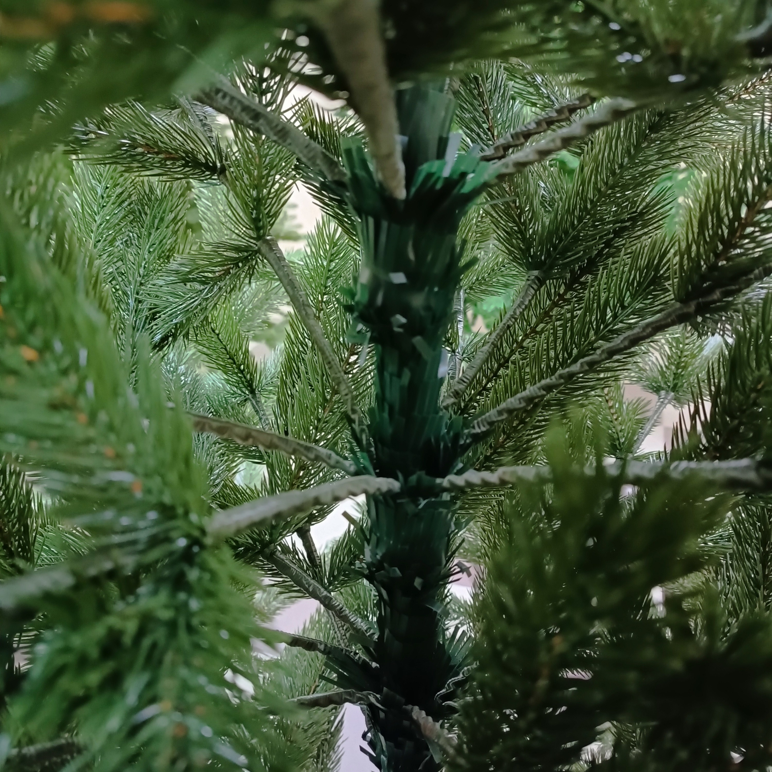 ЛЕОНА. Elki_grodno