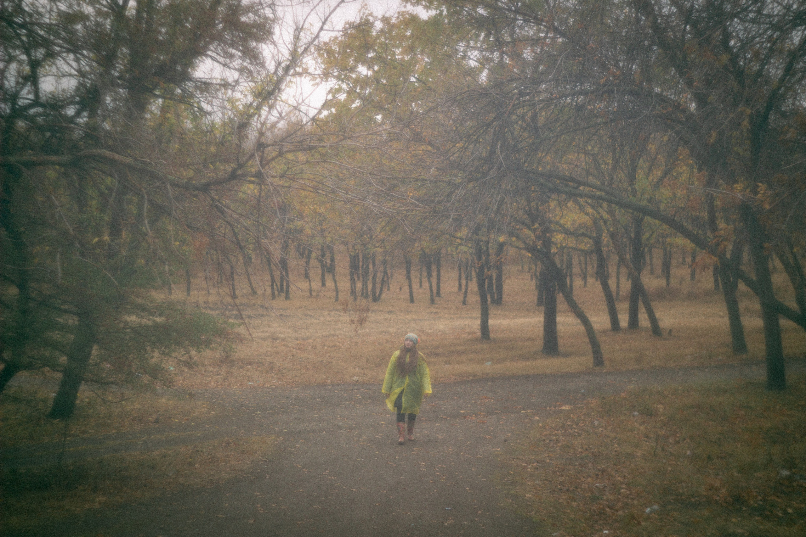 Туманная осень. • Фотограф Александра Светозар Алчевск •